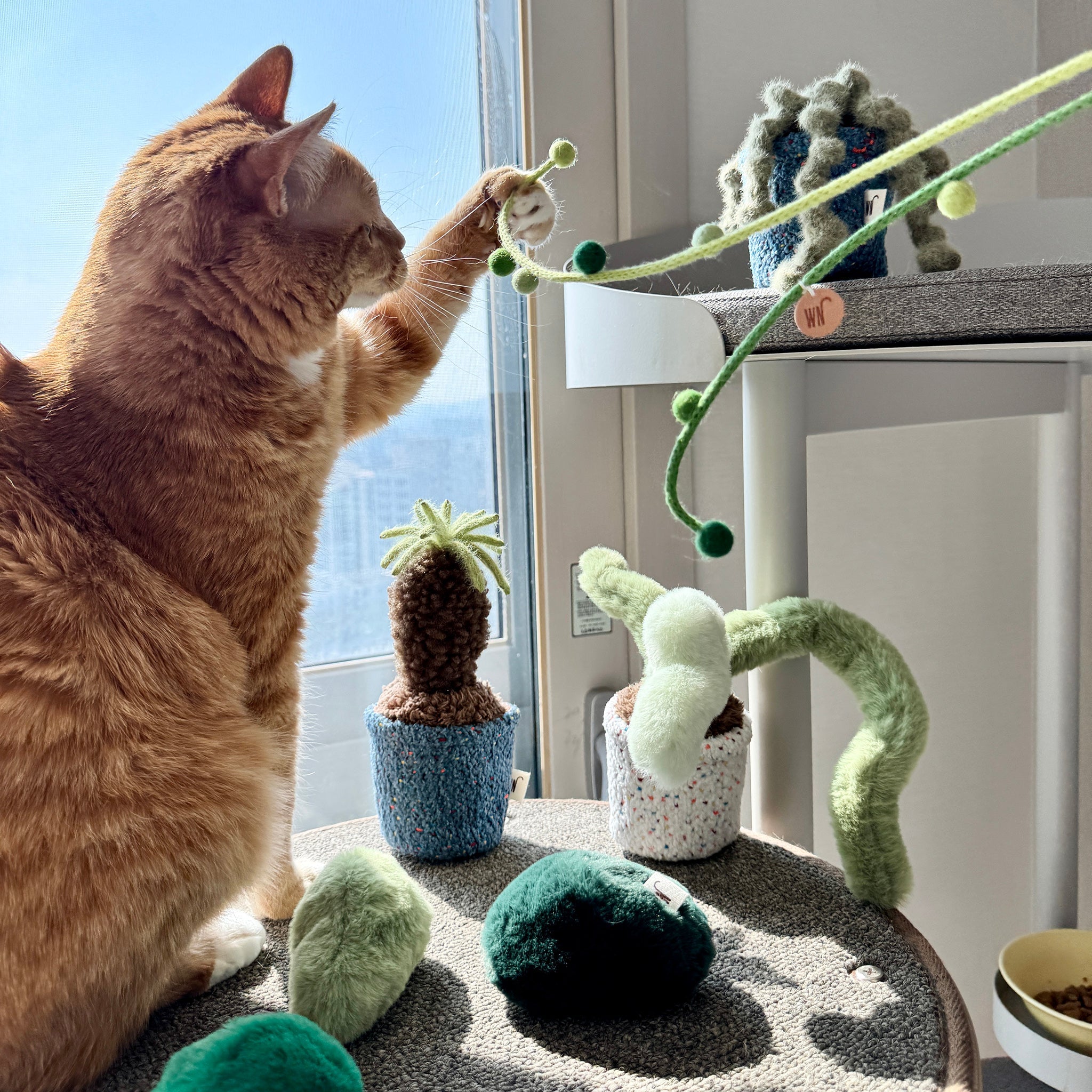 PLANT