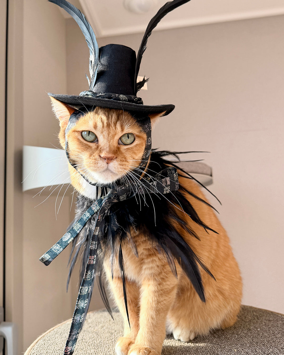 Lord Goblin's Hat (Dokkaebi Daegam)