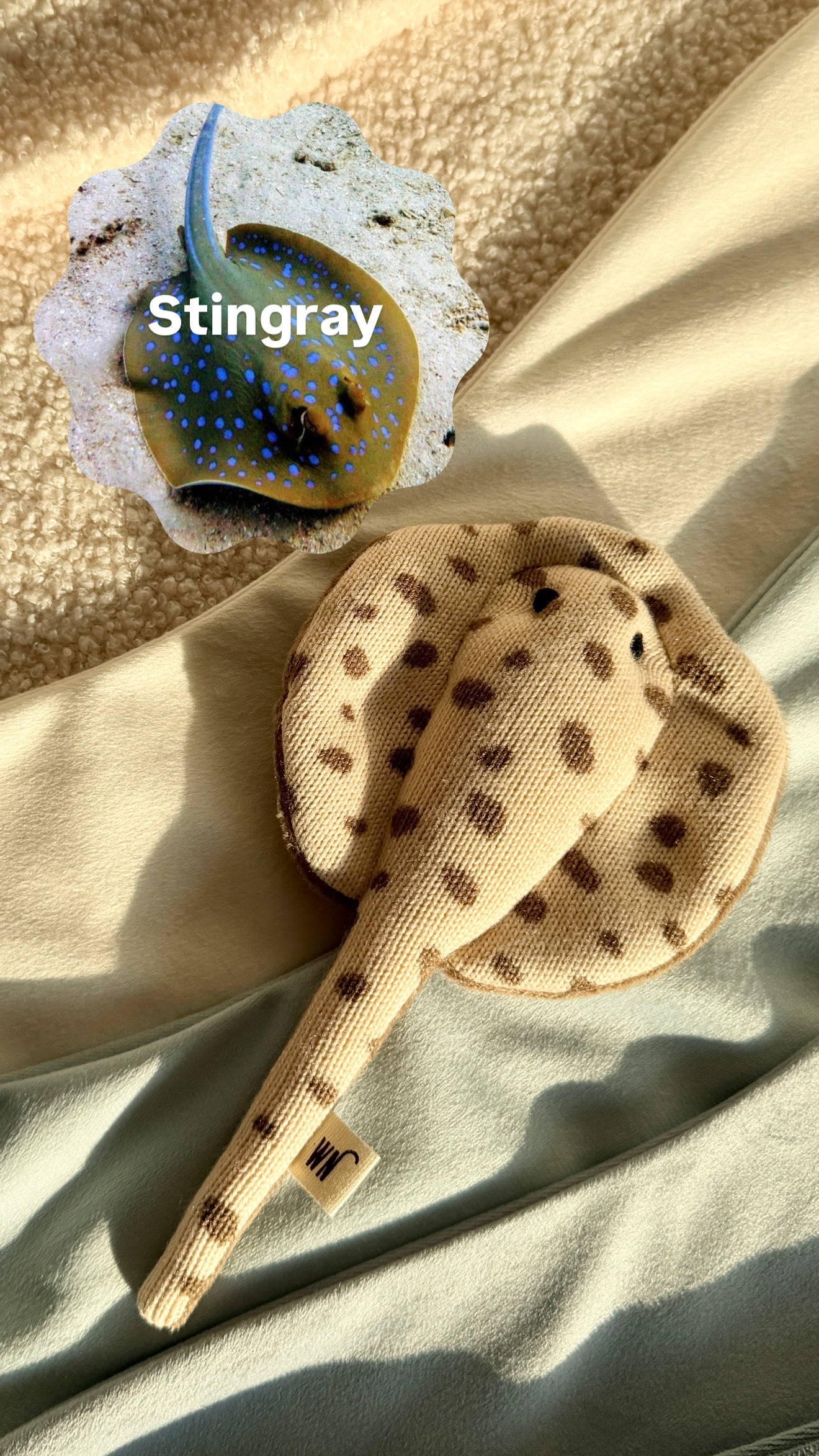 Stingray Toy
