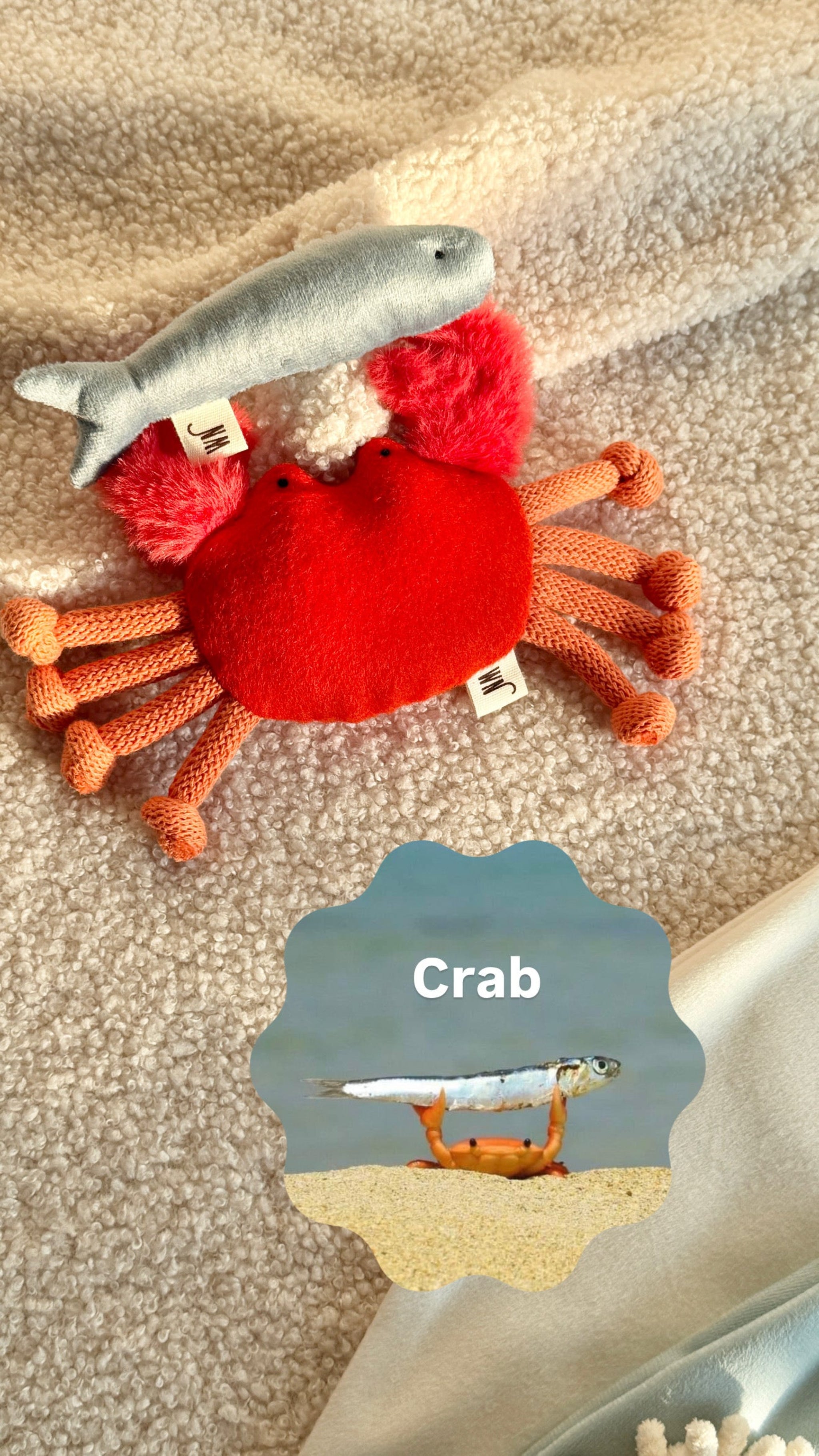 Crab Toy