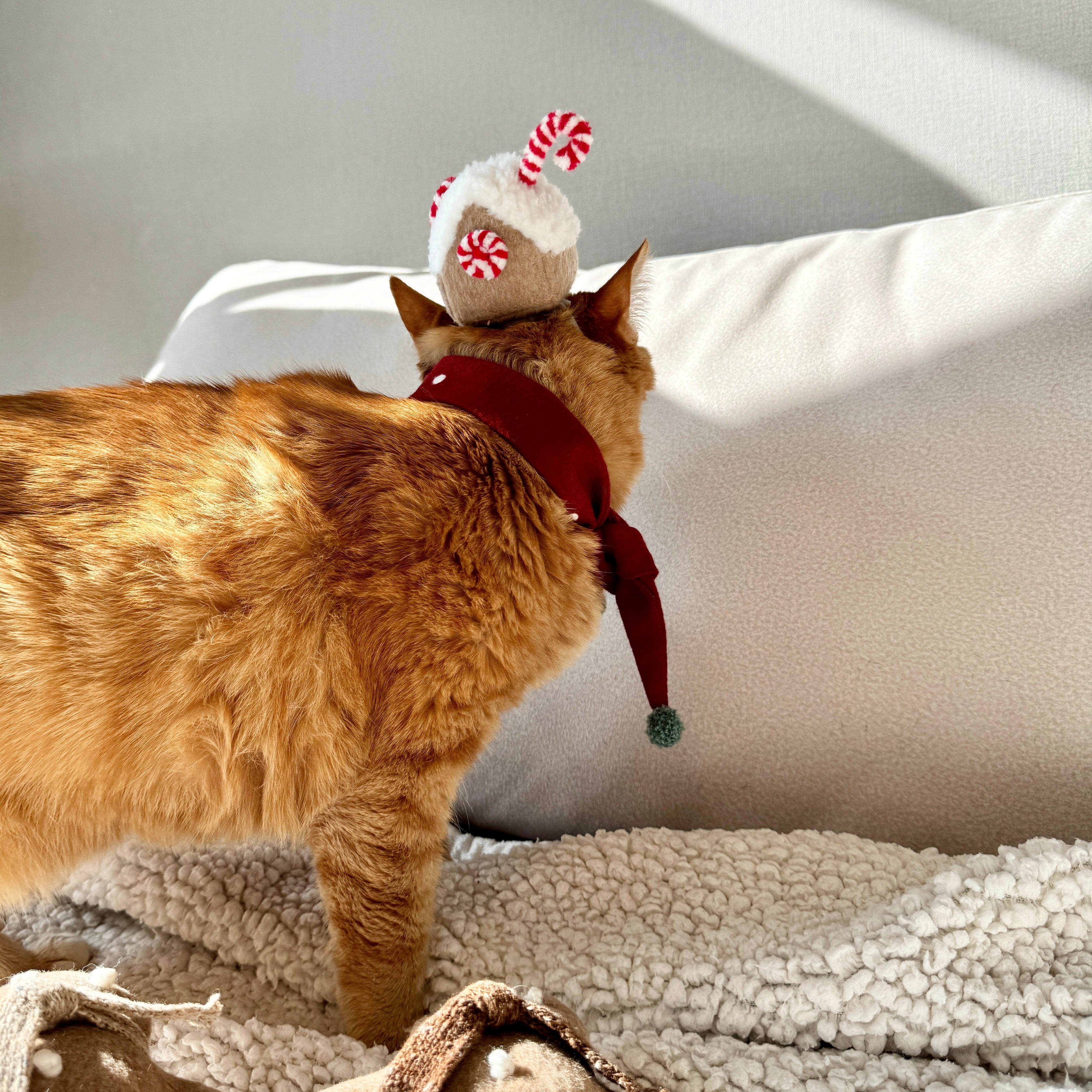 Ginger Bread House Headpiece (pre-order)