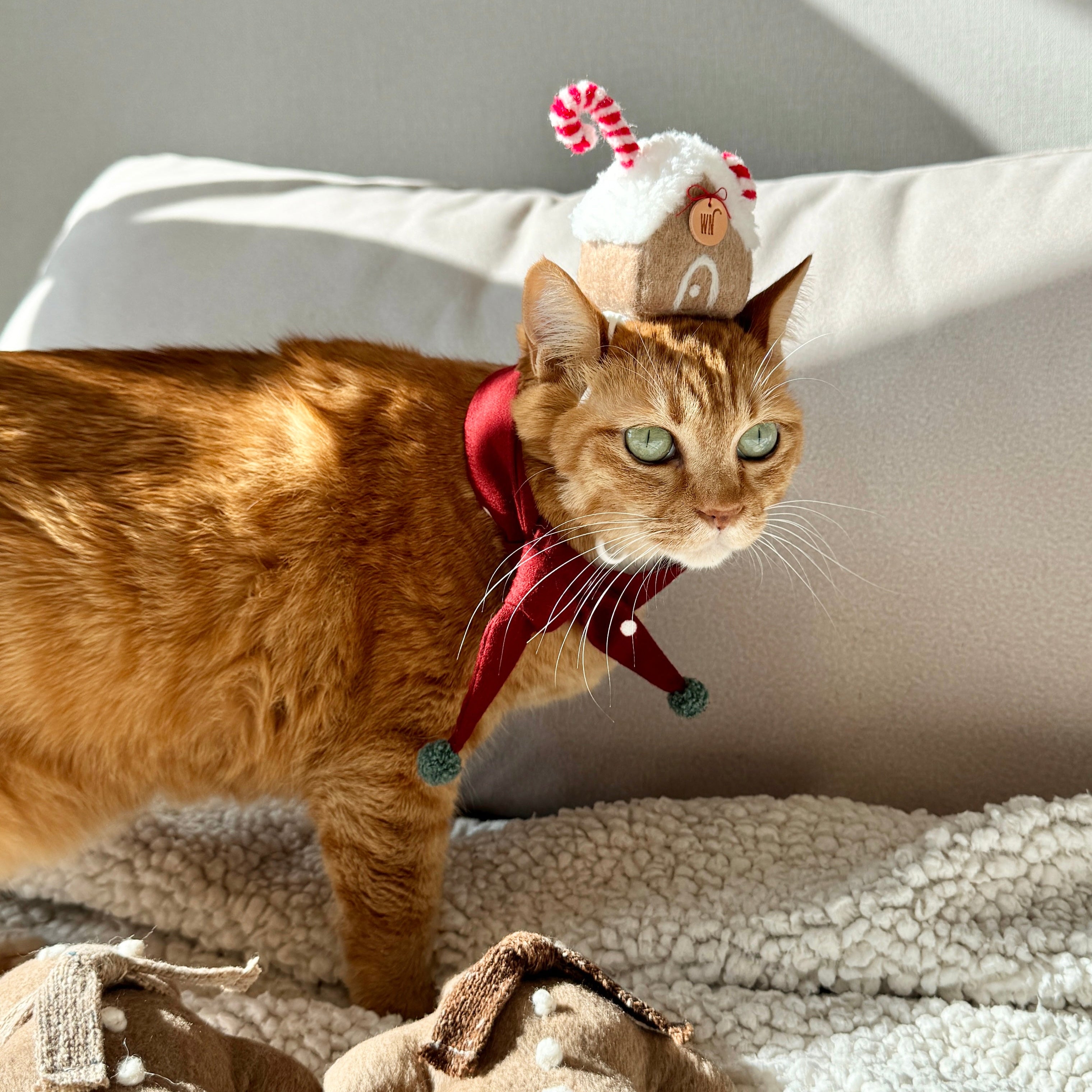 Ginger Bread House Headpiece (pre-order)