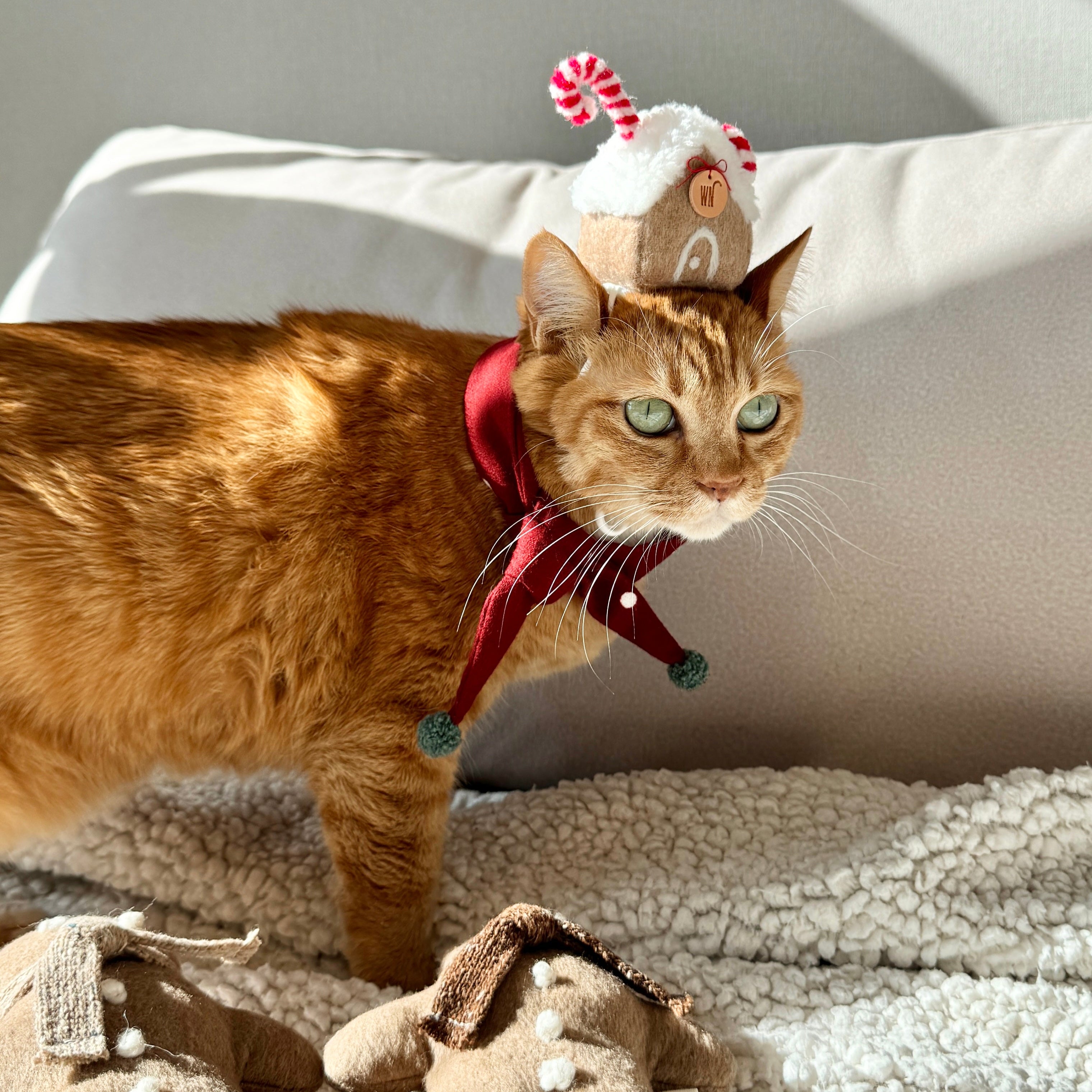 X-mas Scarf (pre-order)