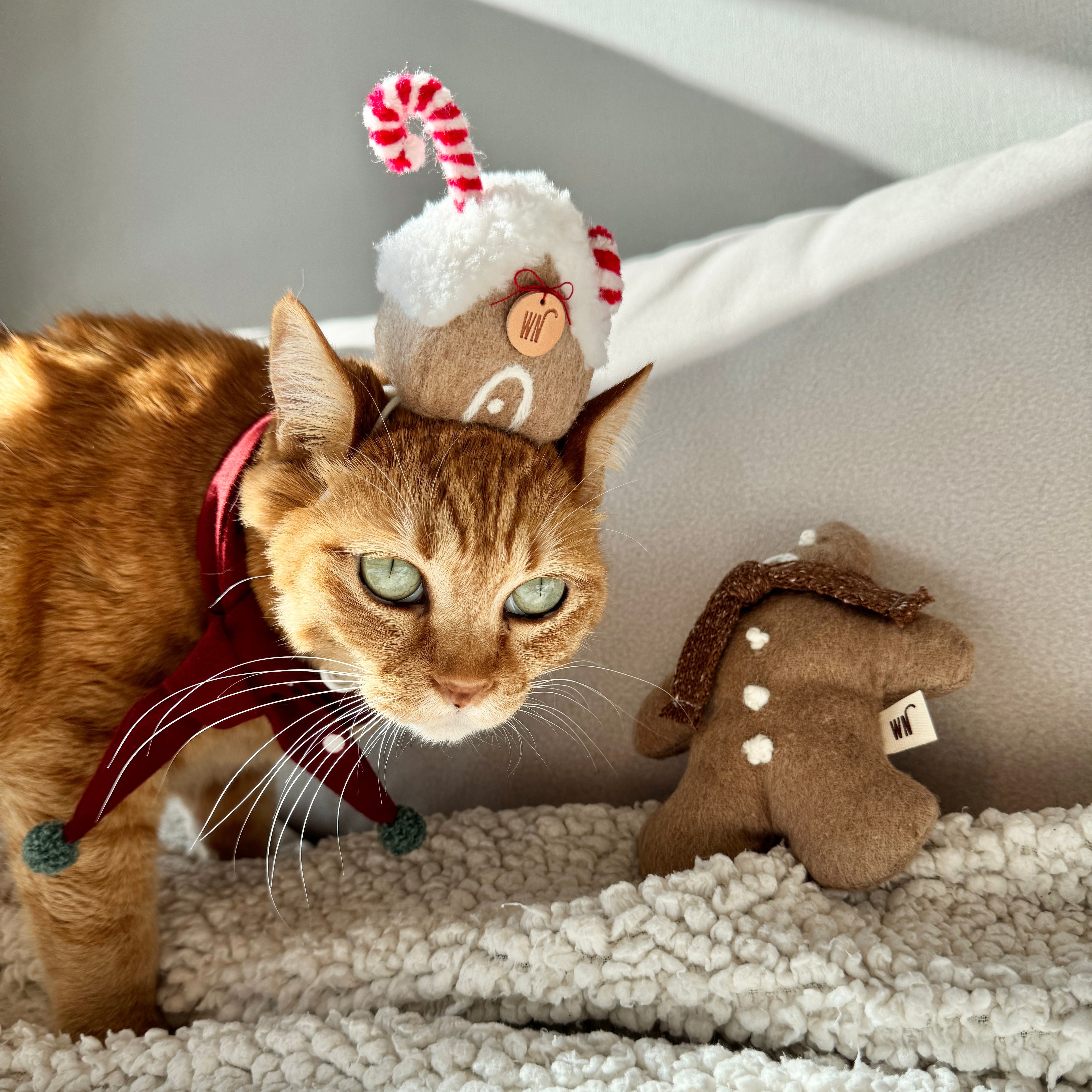 Ginger Bread House Headpiece (pre-order)