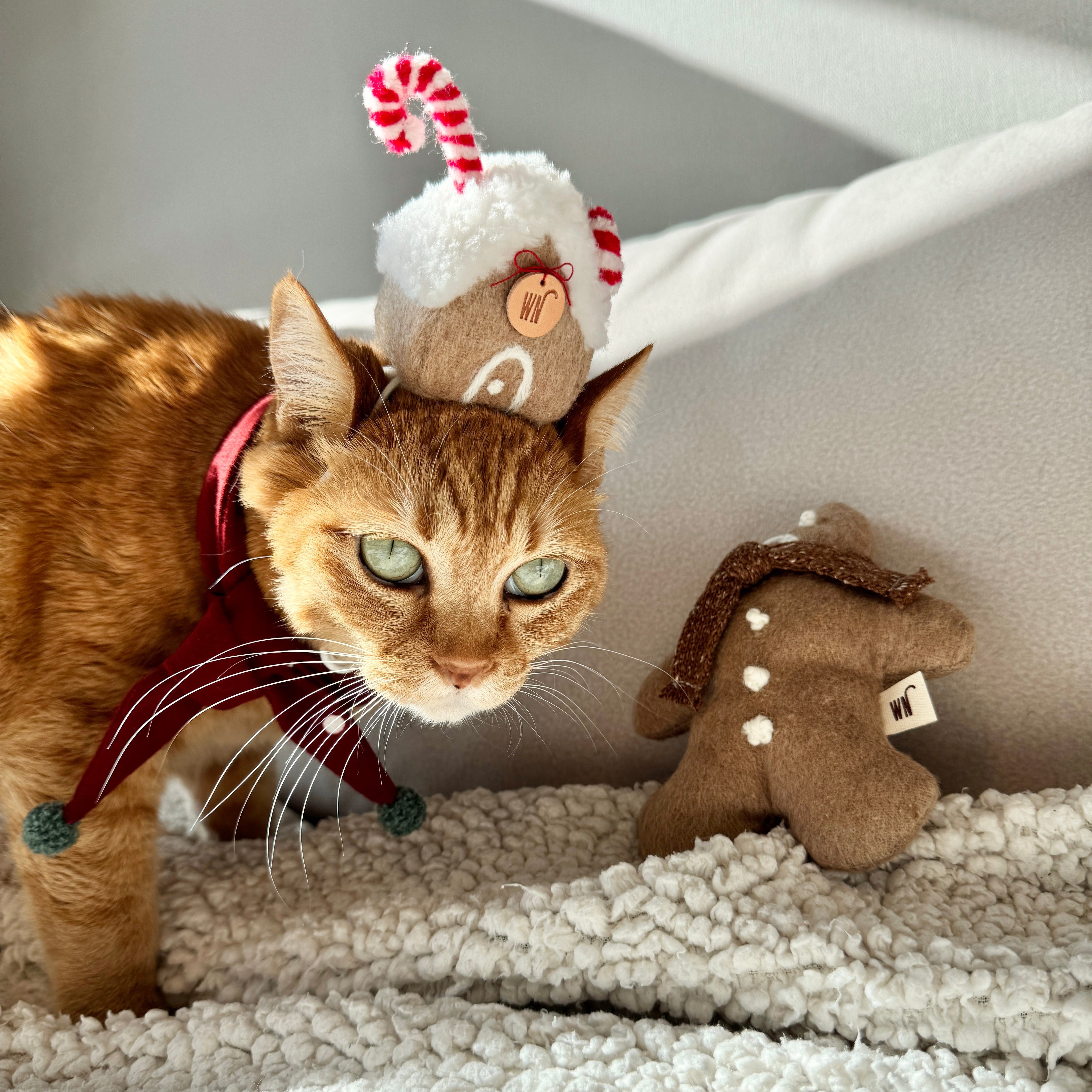 X-mas Scarf (pre-order)