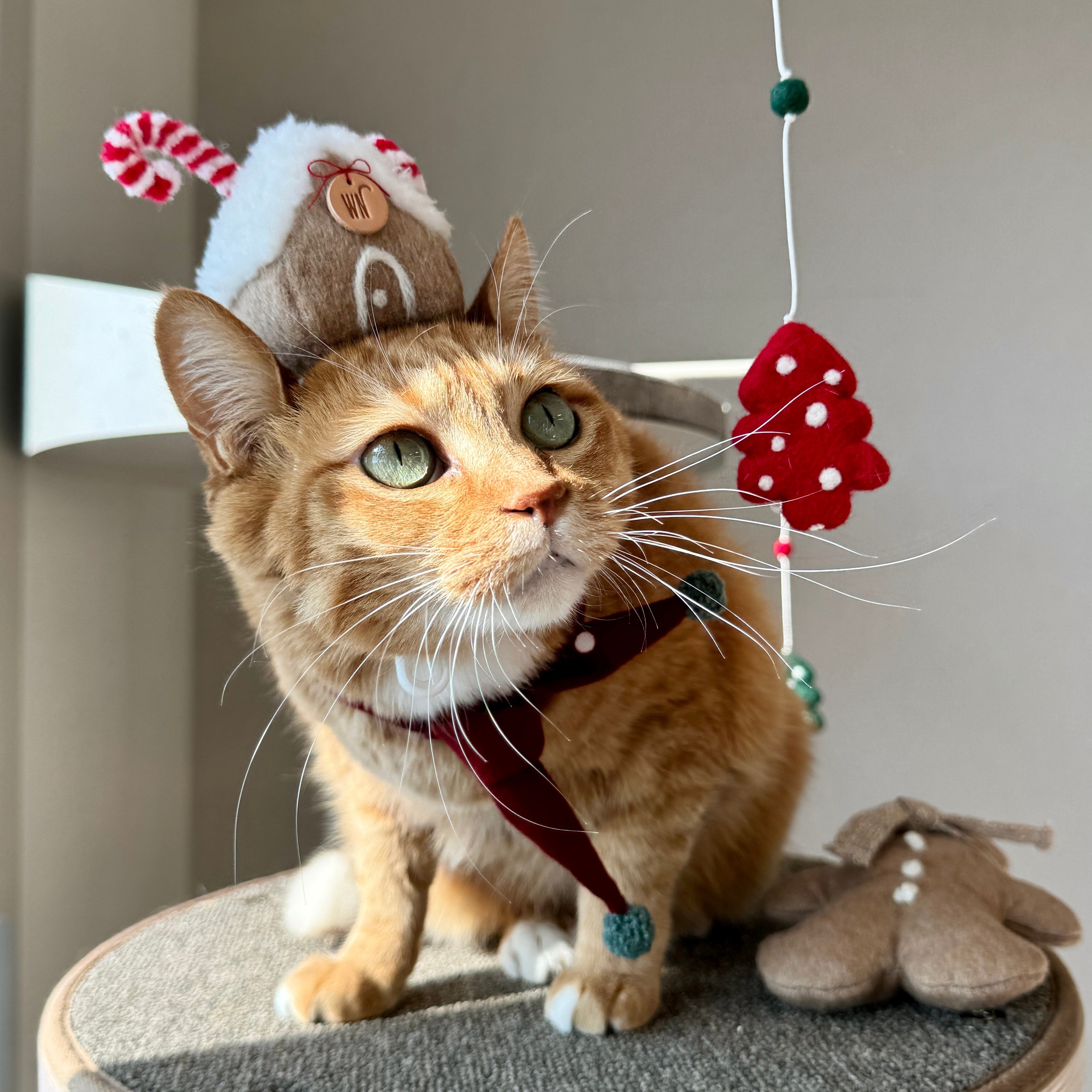 Ginger Bread House Headpiece (pre-order)