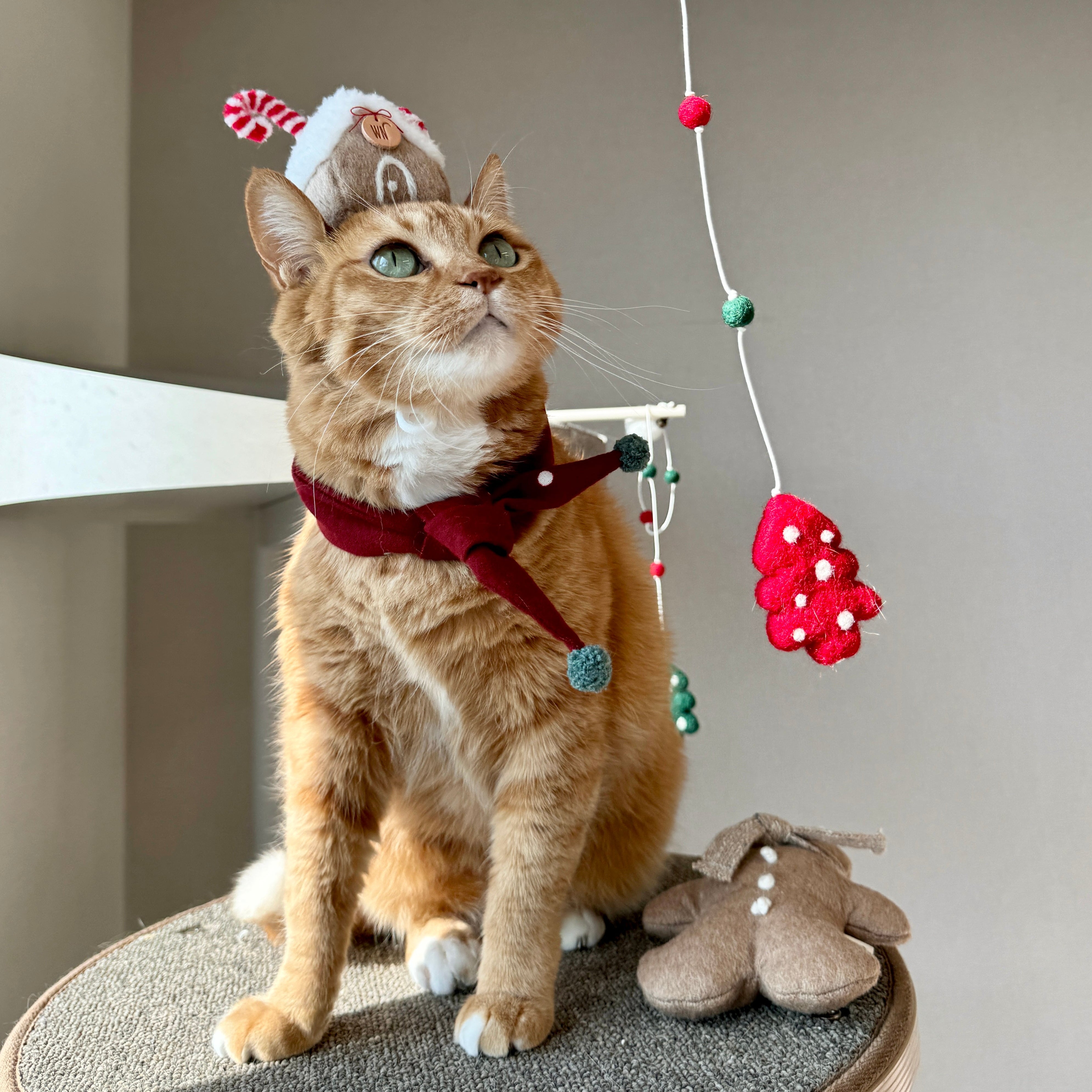 Ginger Bread House Headpiece (pre-order)