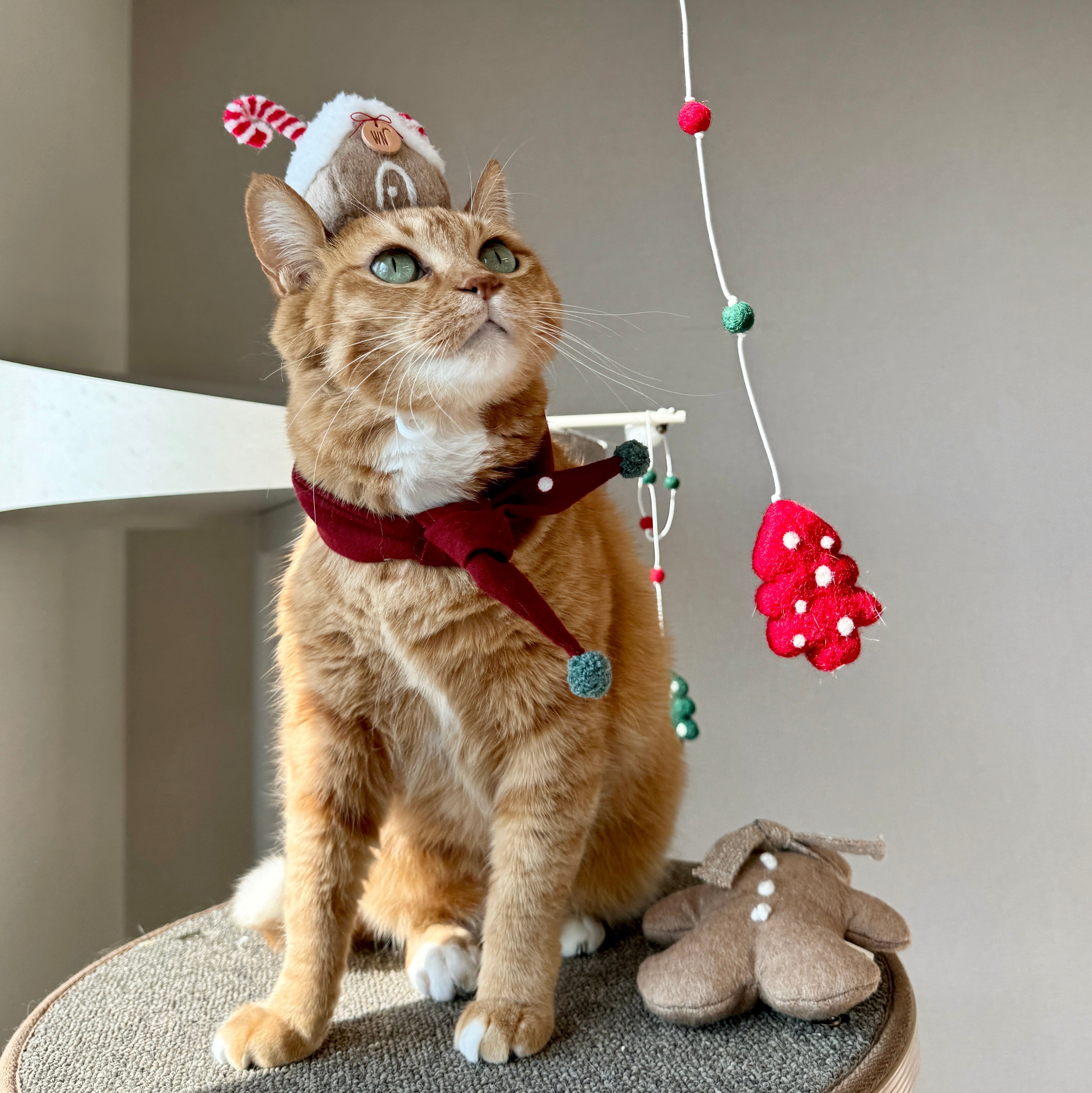 X-mas Scarf (pre-order)