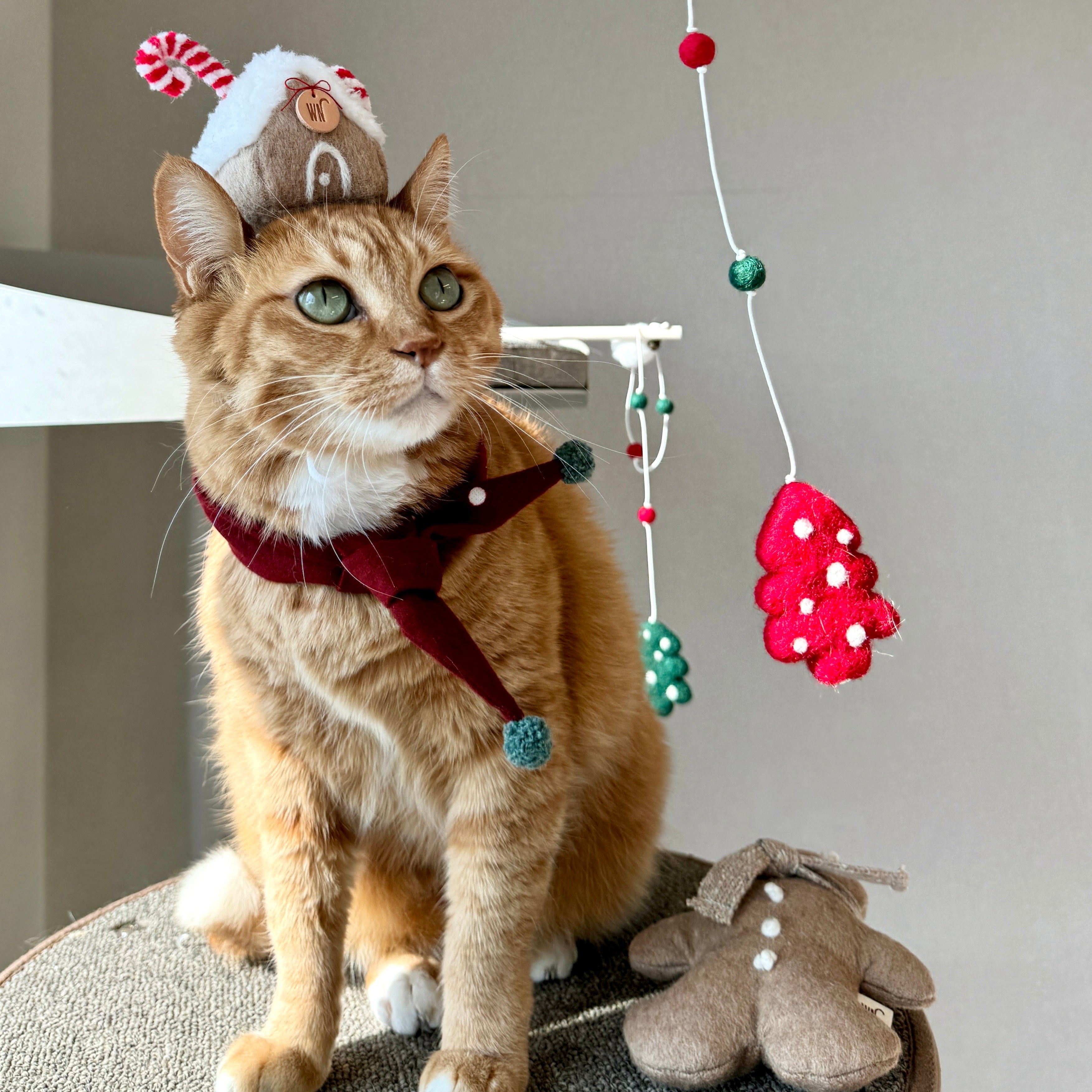 Ginger Bread House Headpiece (pre-order)