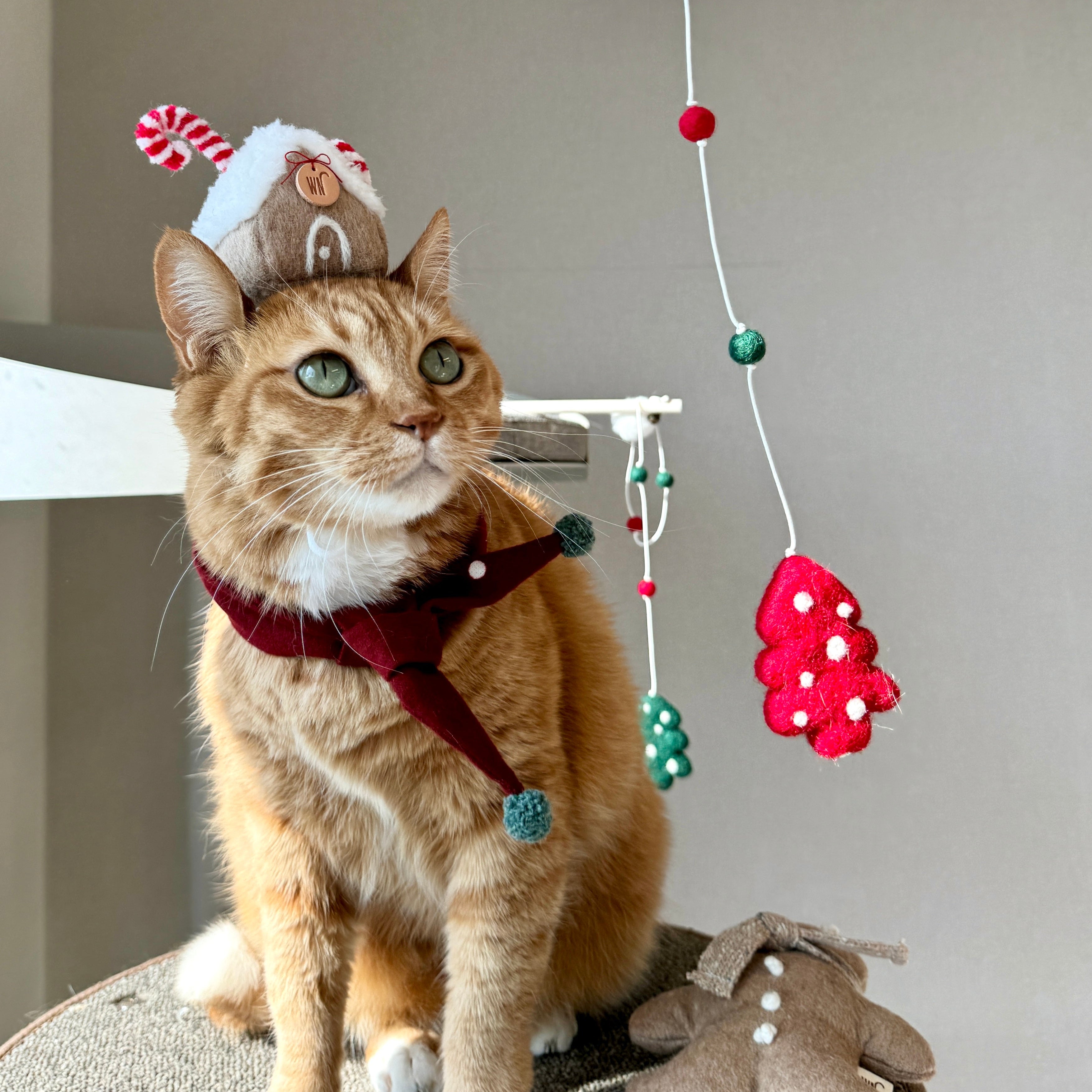 X-mas Scarf (pre-order)