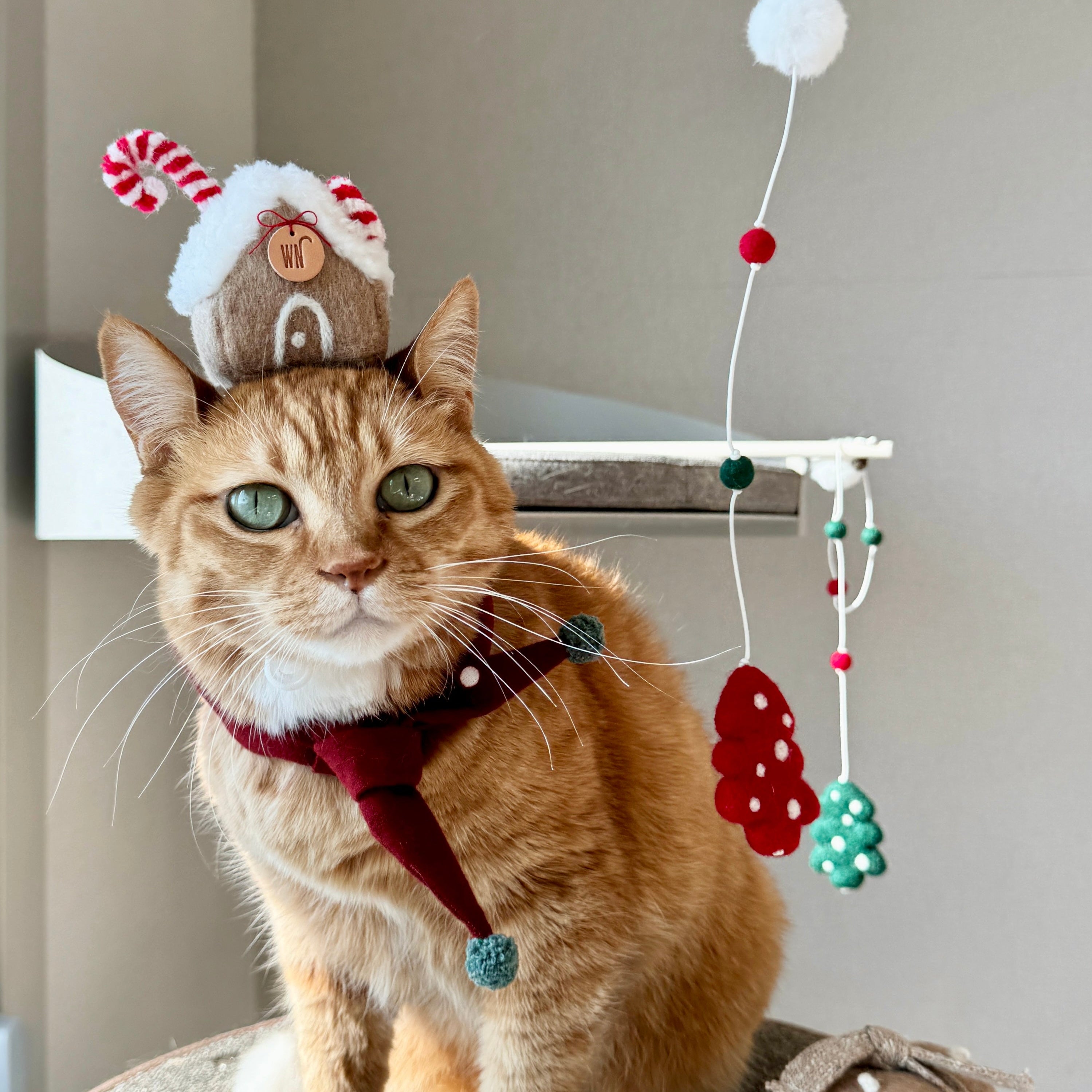 Ginger Bread House Headpiece (pre-order)