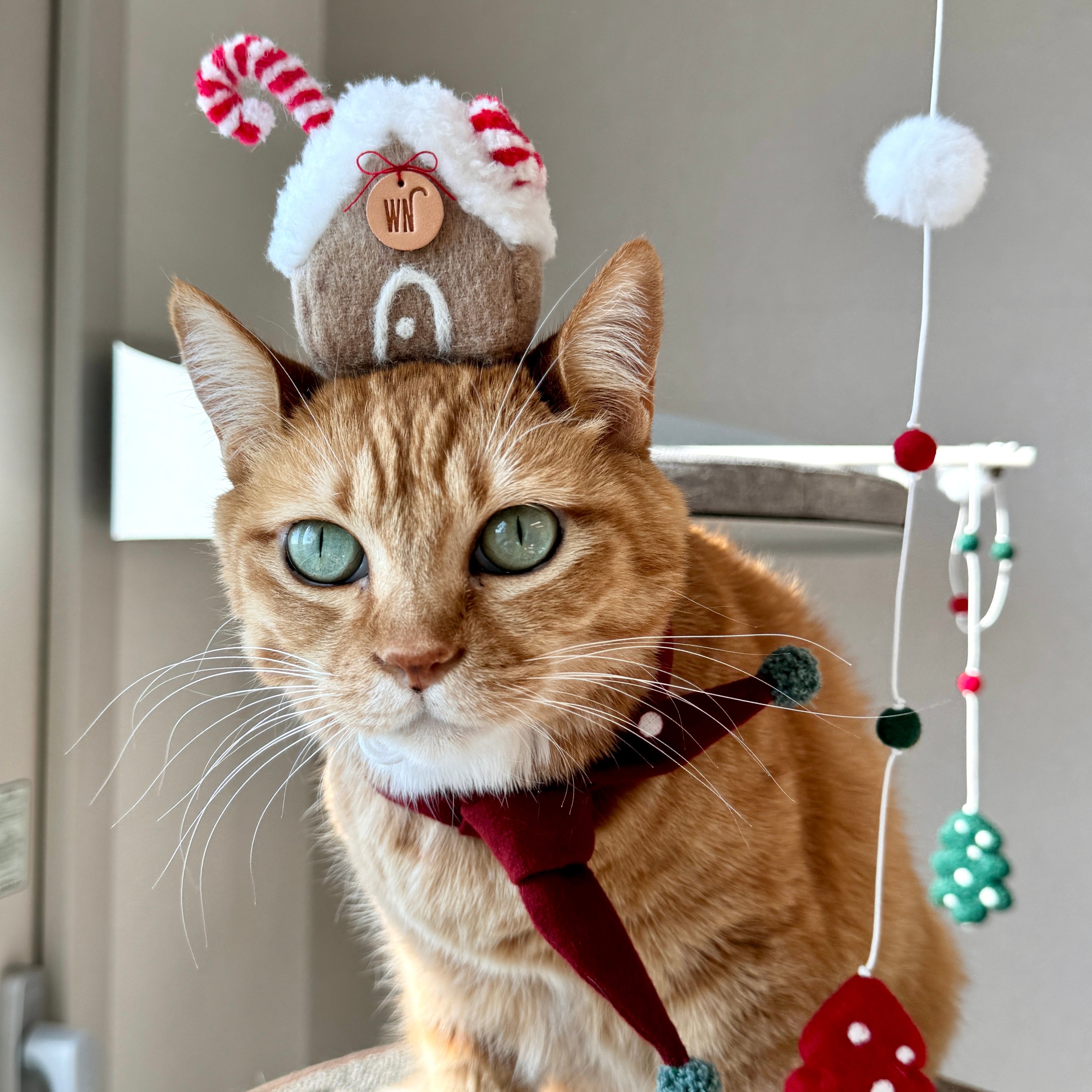 Ginger Bread House Headpiece (pre-order)