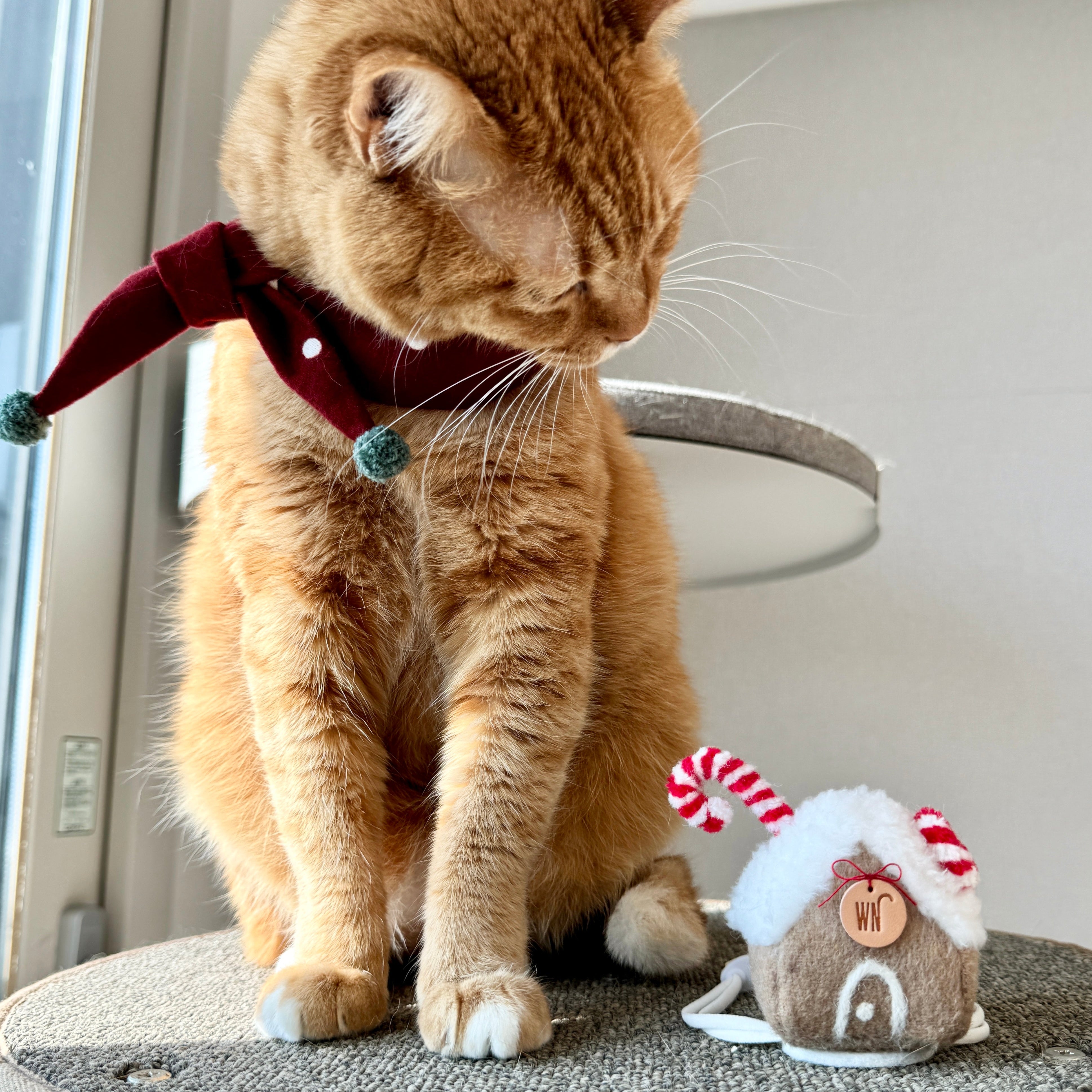 Ginger Bread House Headpiece (pre-order)