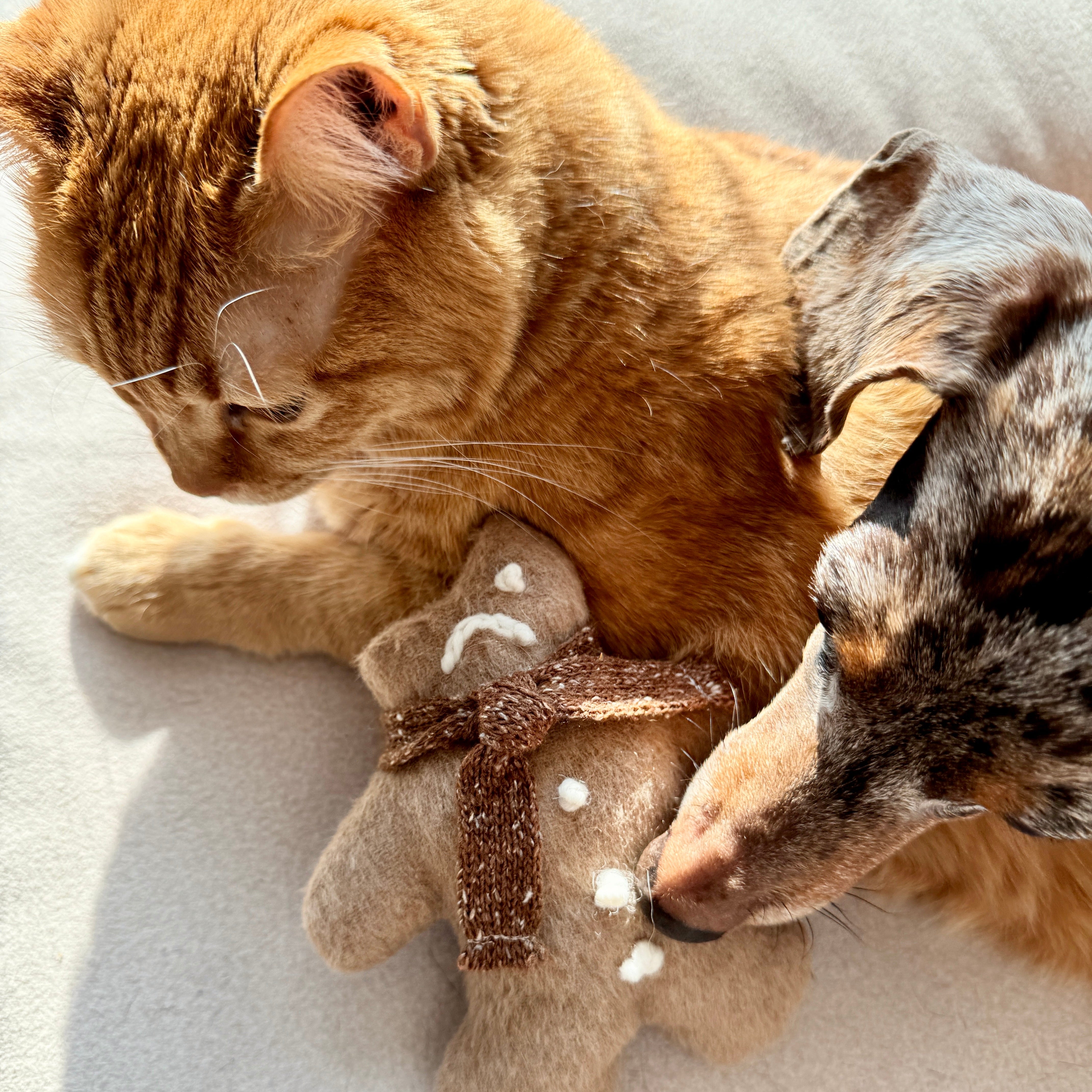 Ginger Man Toy (pre-order)