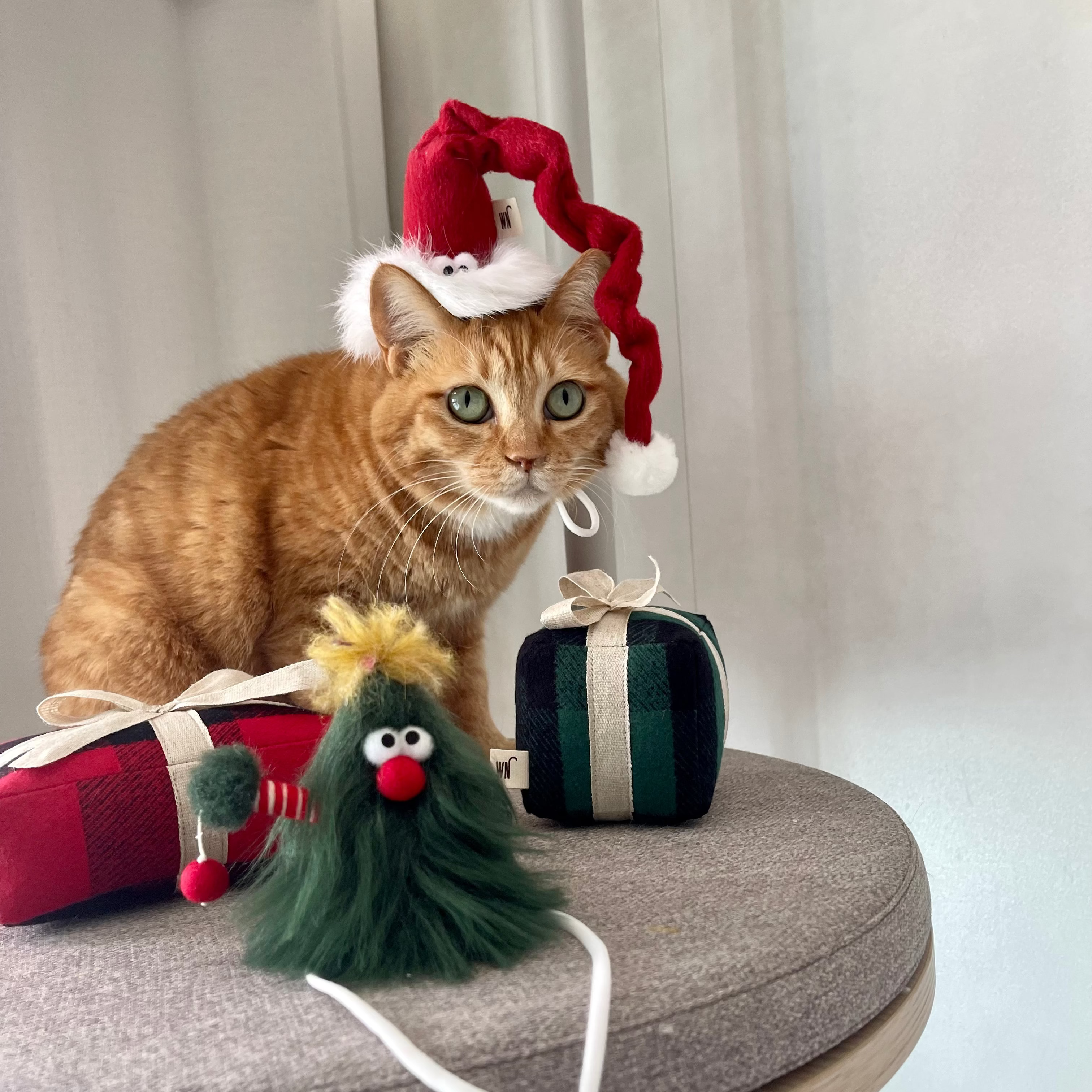 Santa Claus Hat (pre-order)