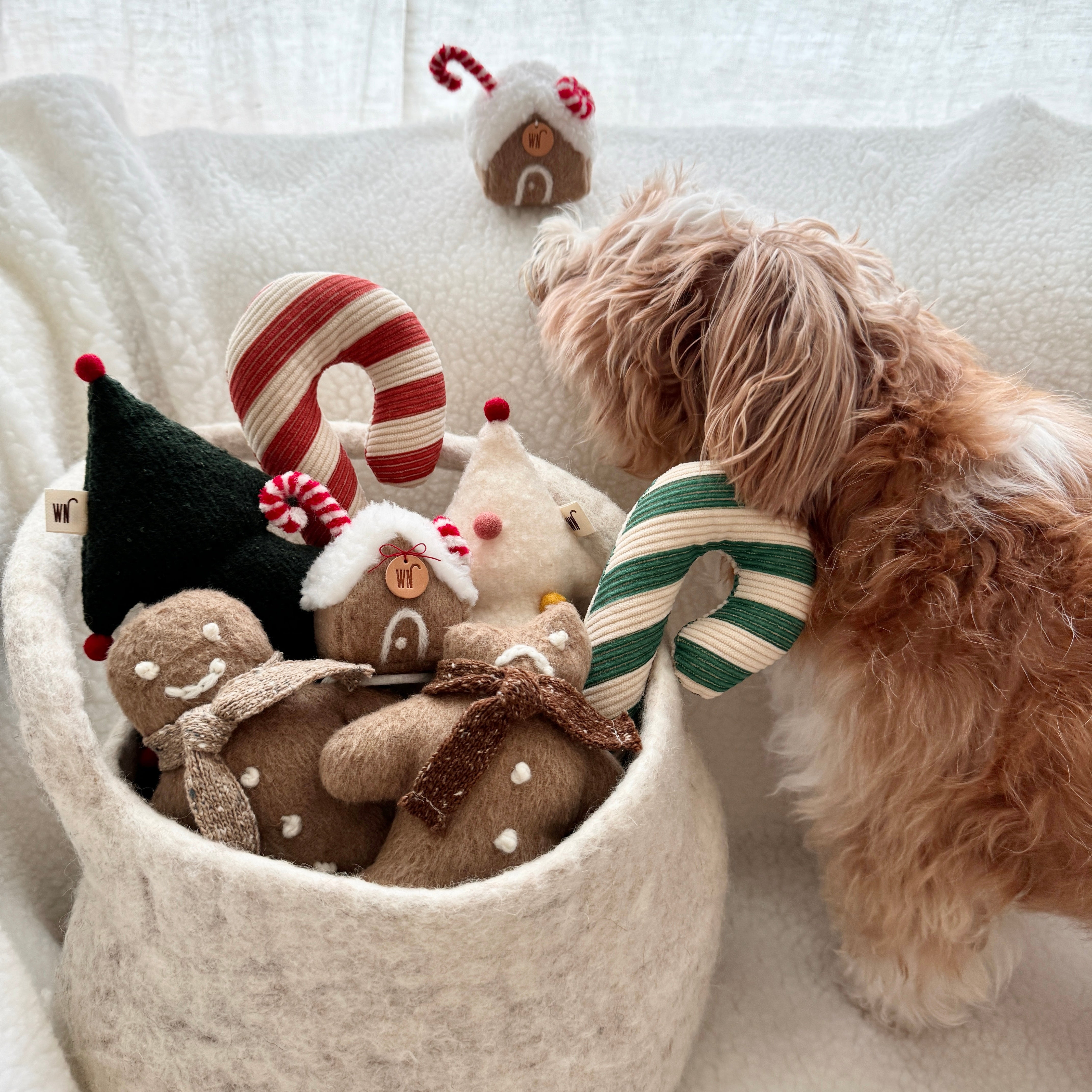 X-mas Candy Cane Toy (pre-order)