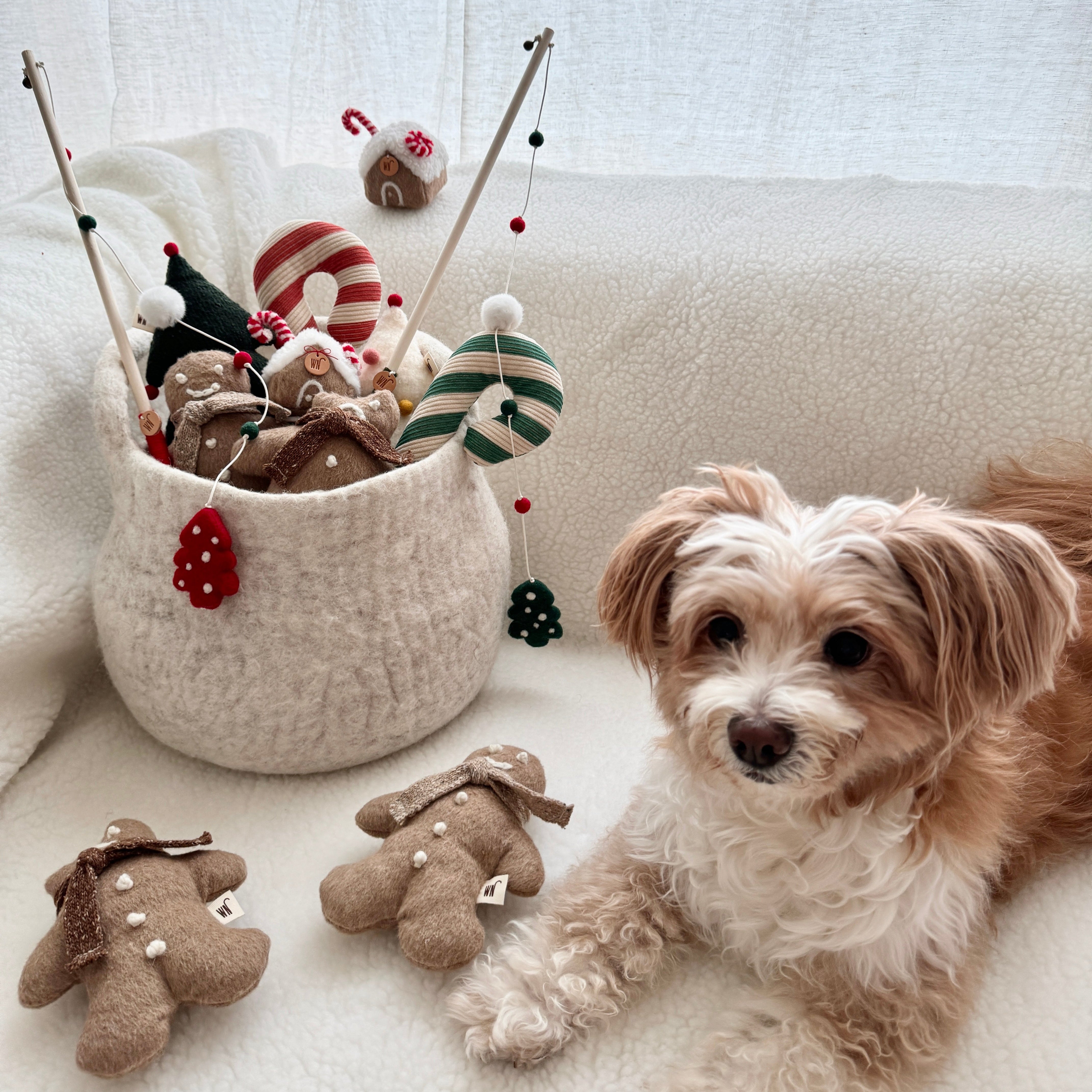 X-mas Candy Cane Toy (pre-order)