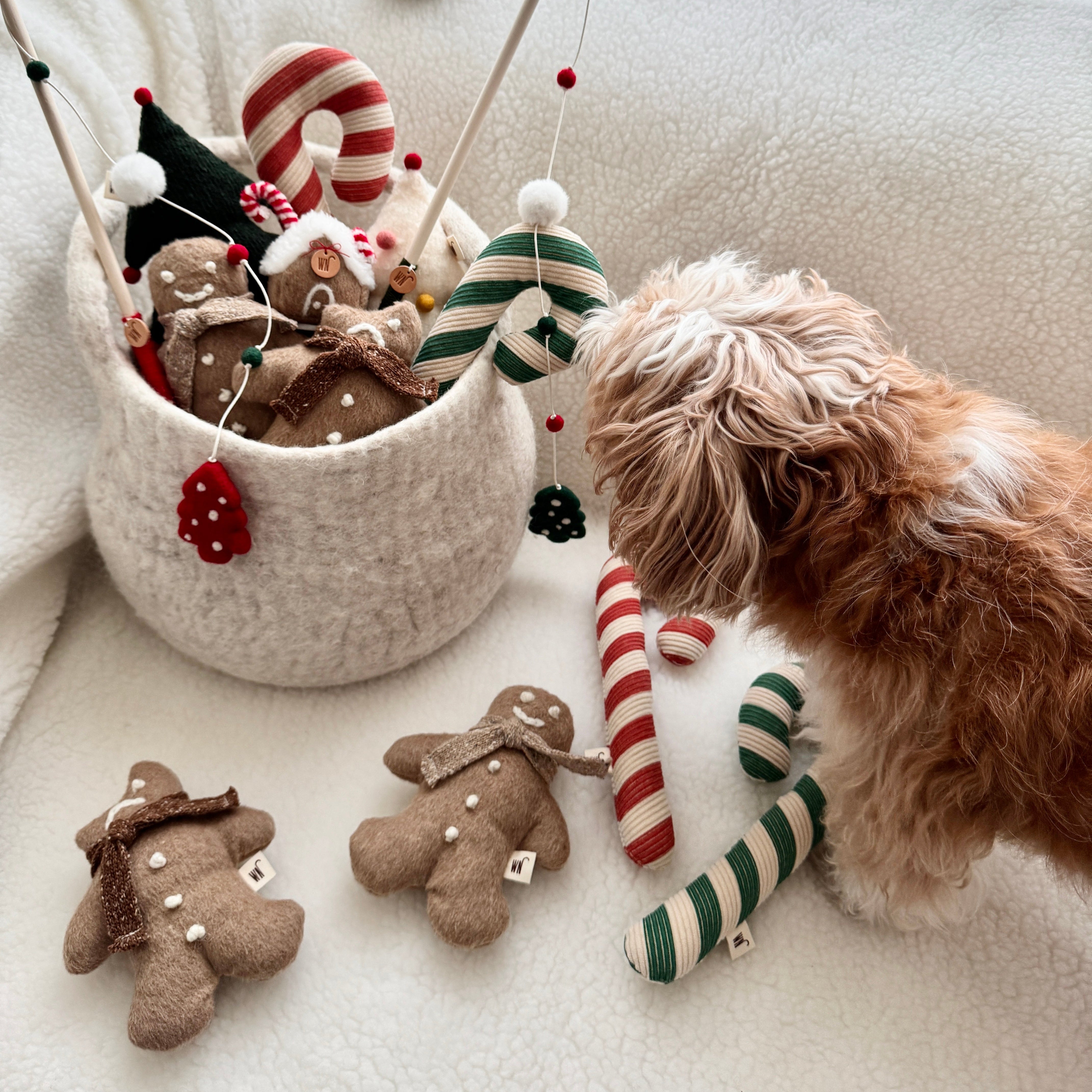 Ginger Man Toy (pre-order)