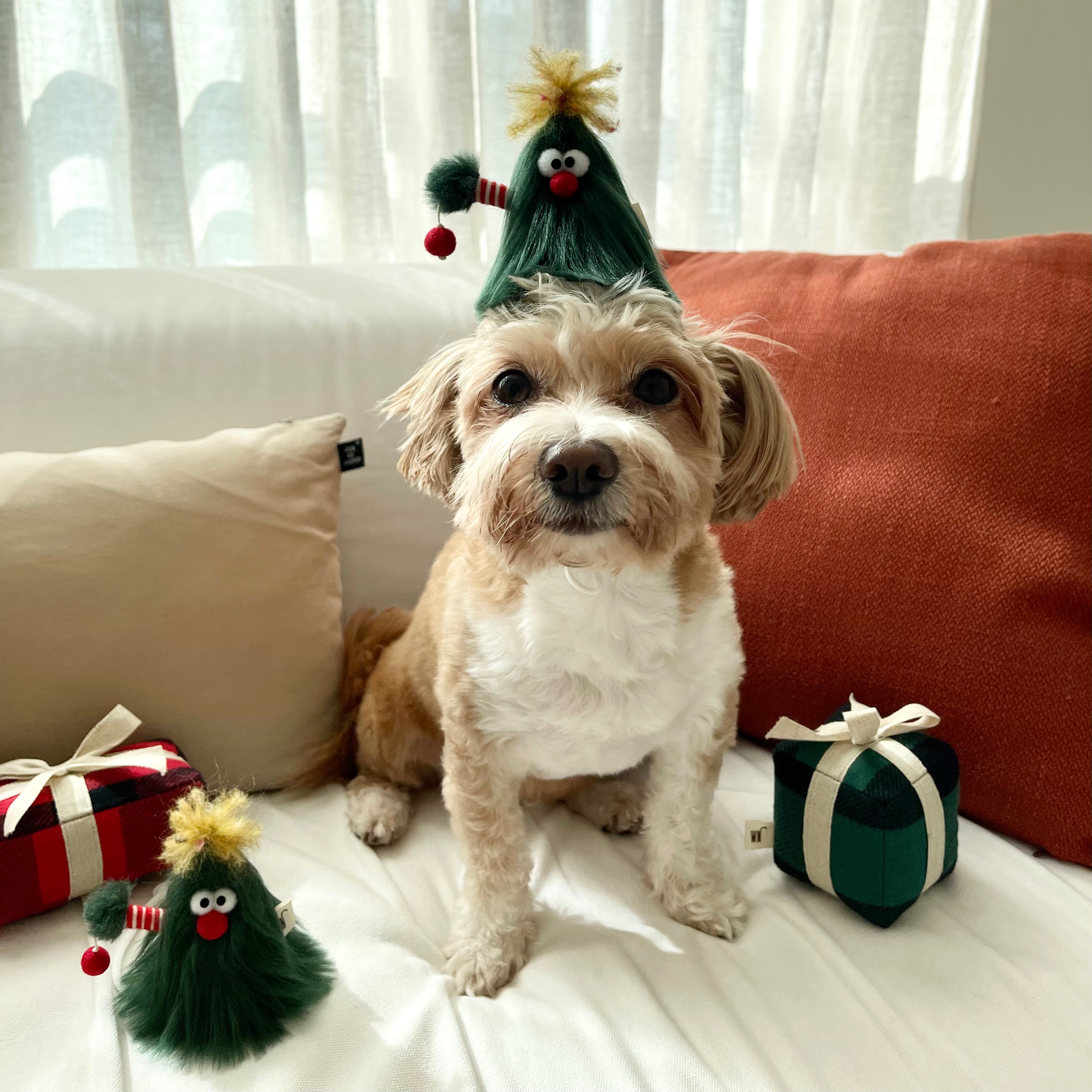 Gift Box Toy (pre-order)