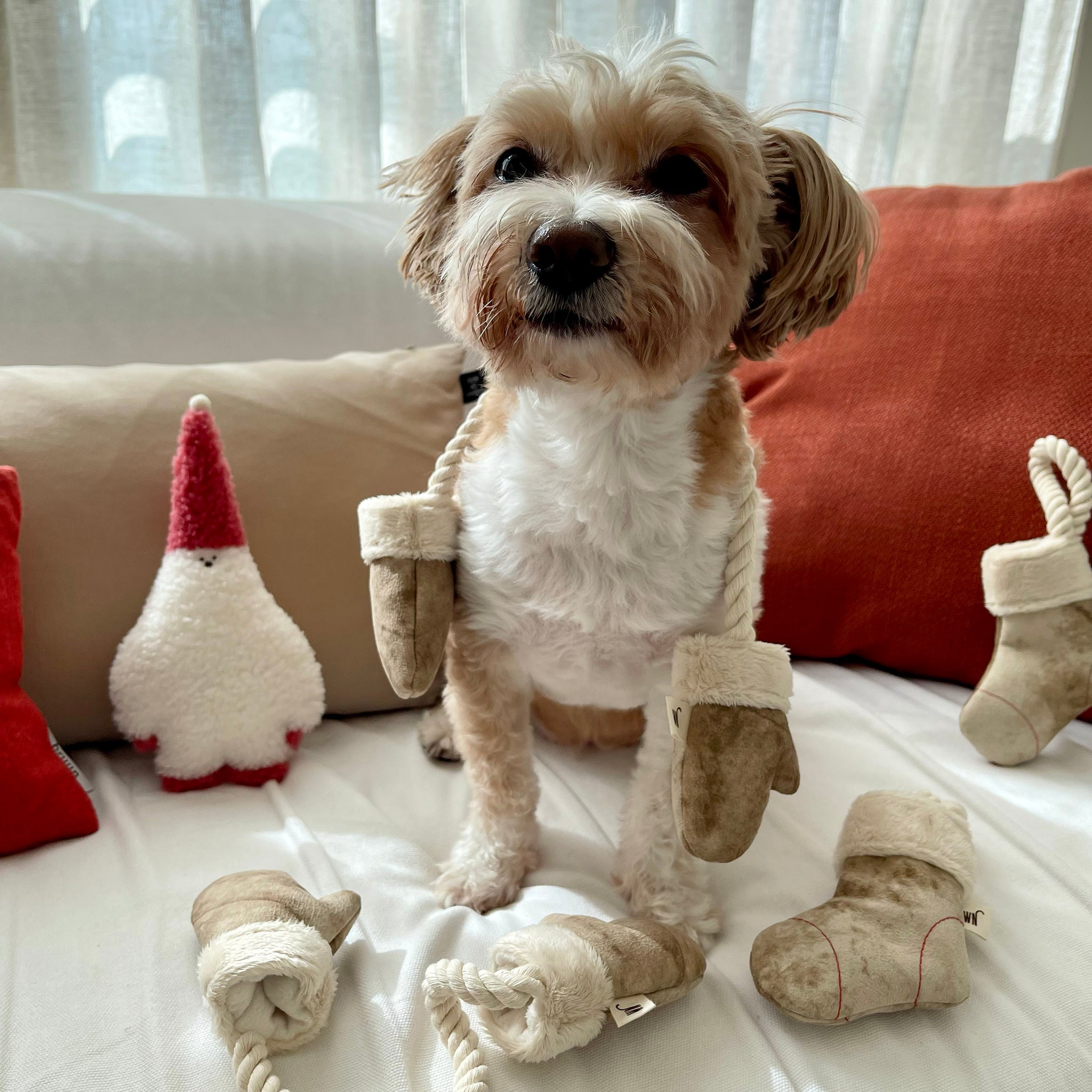 Mittens Toy (pre-order)