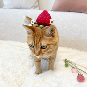 Strawberry Headpiece
