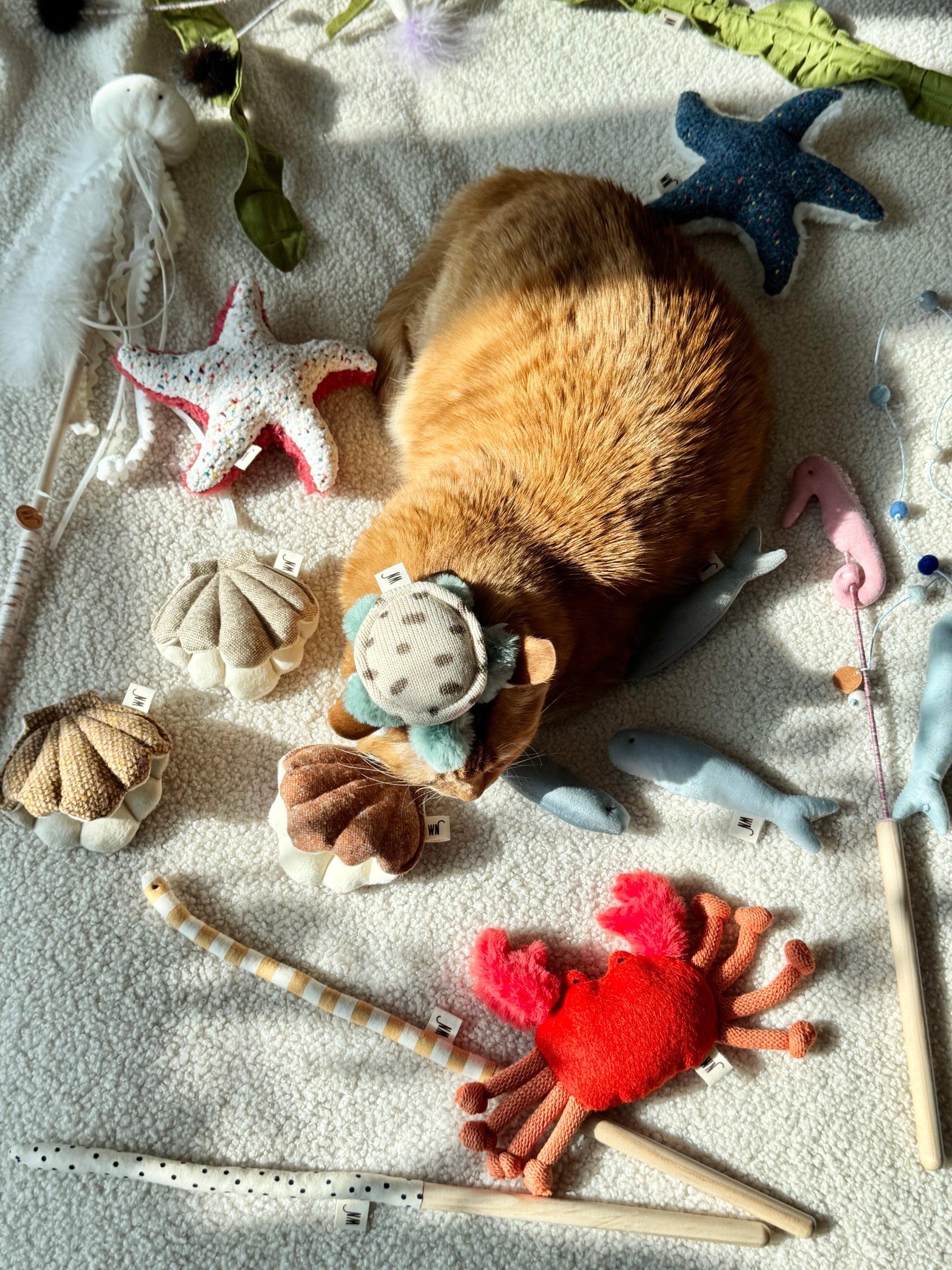 Crab Toy