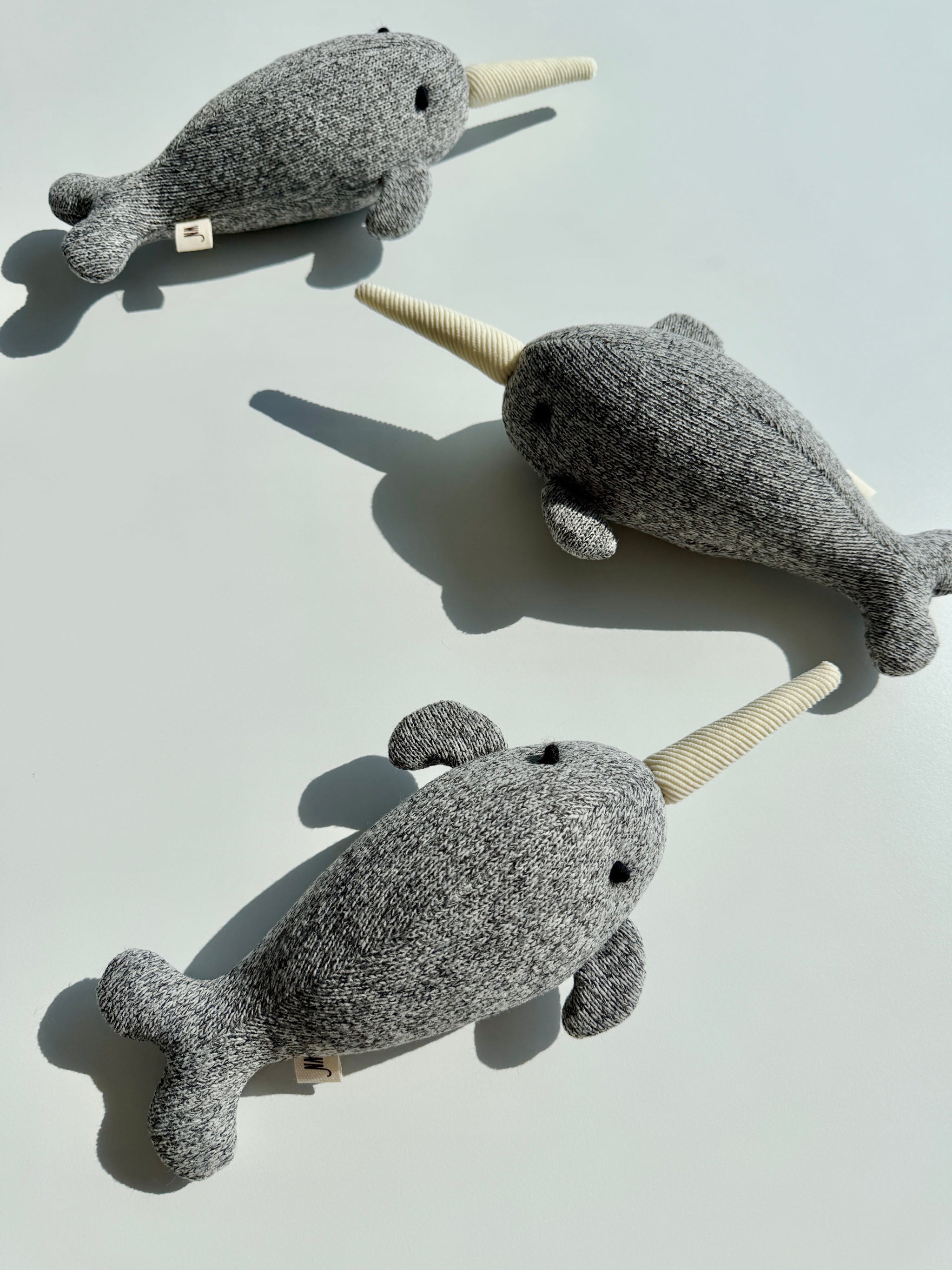 [PRE-ORDER] Narwhal
