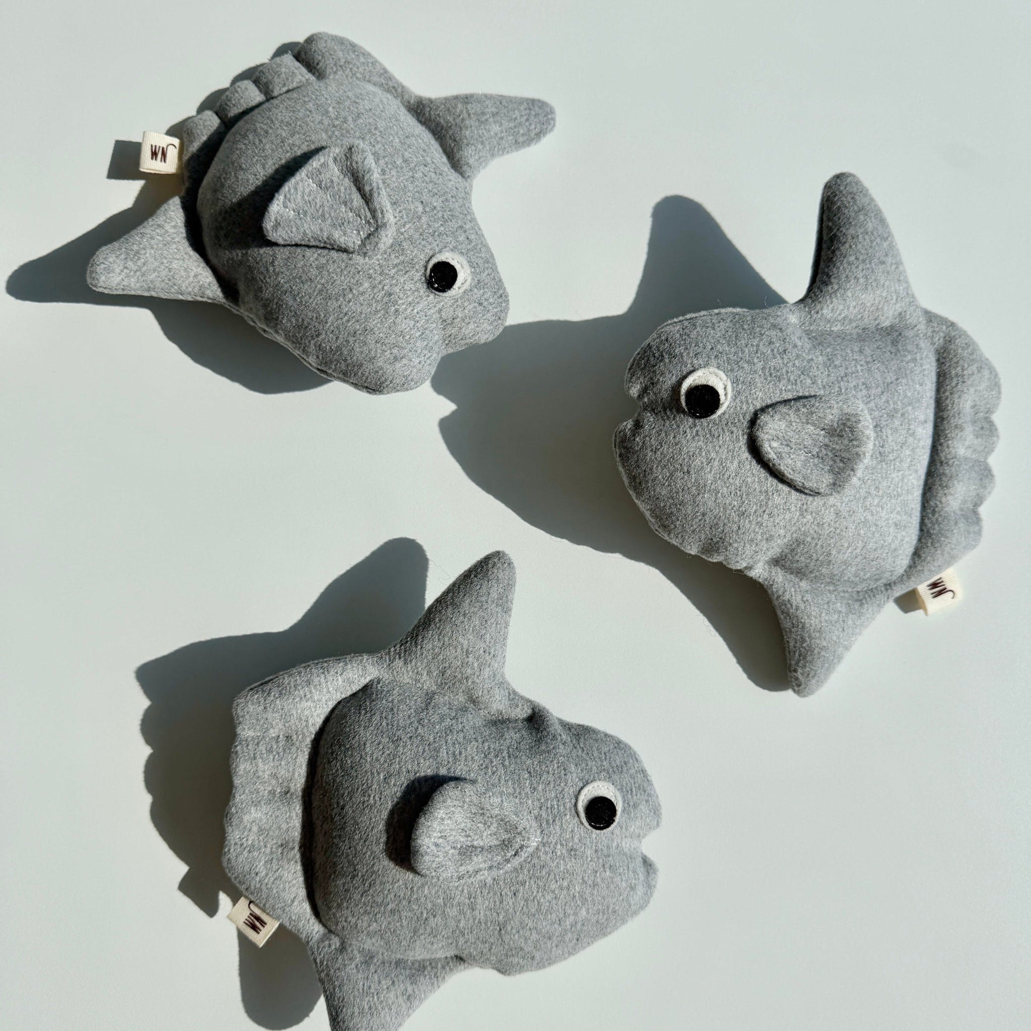 Sunfish