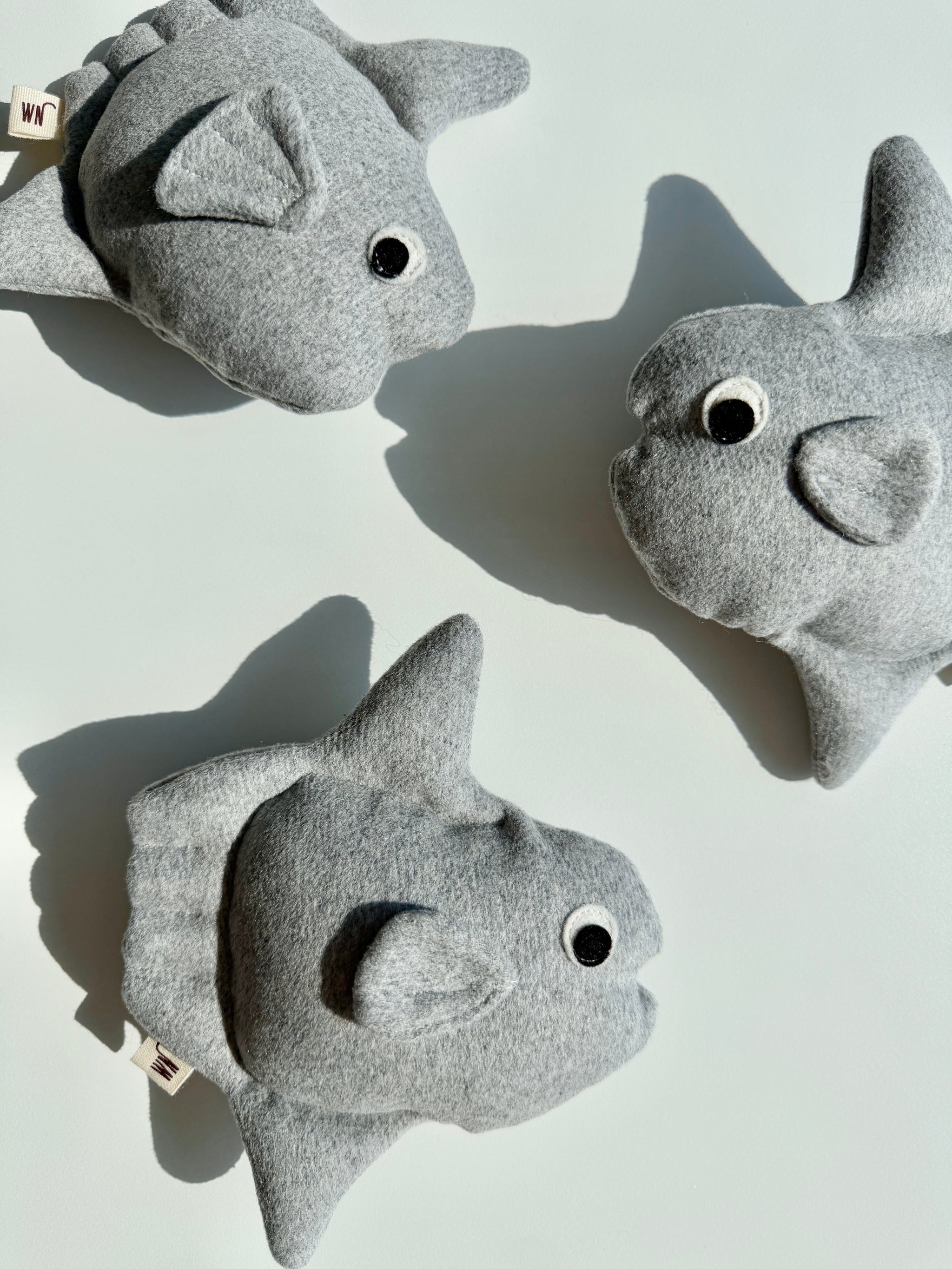 Sunfish