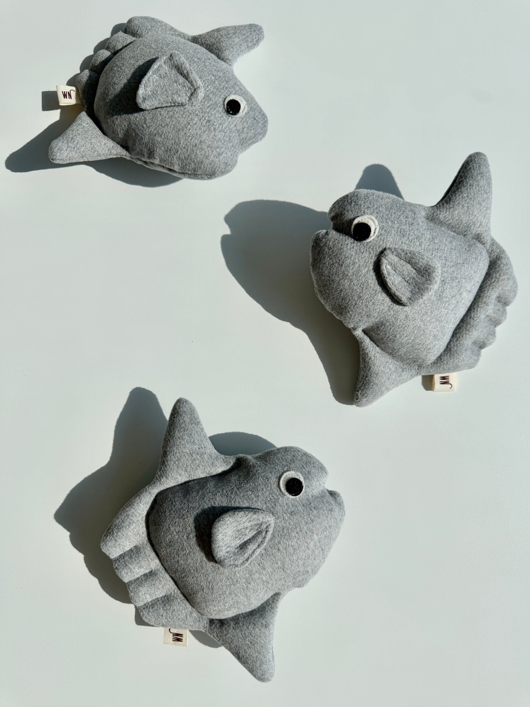 Sunfish