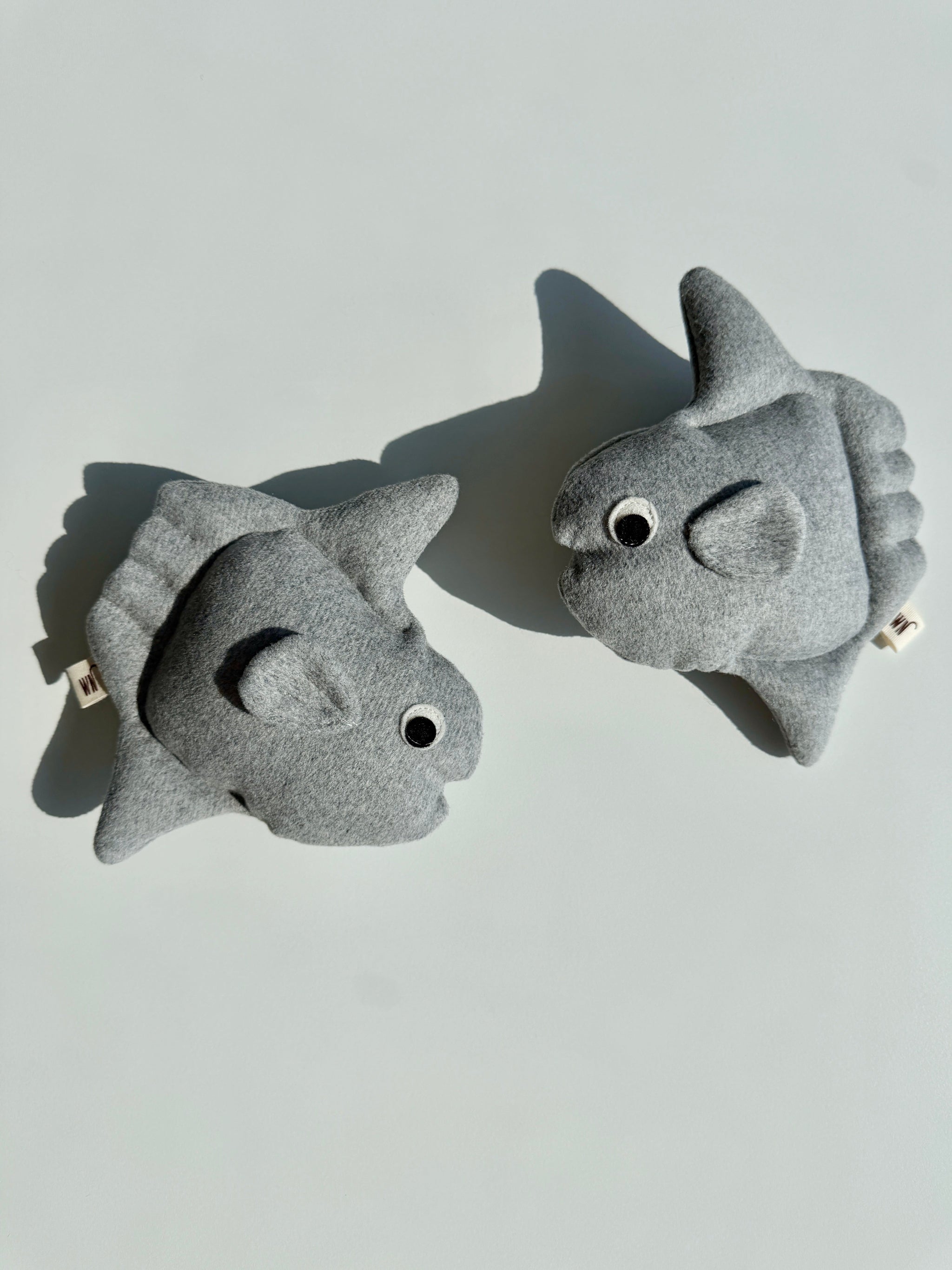 Sunfish