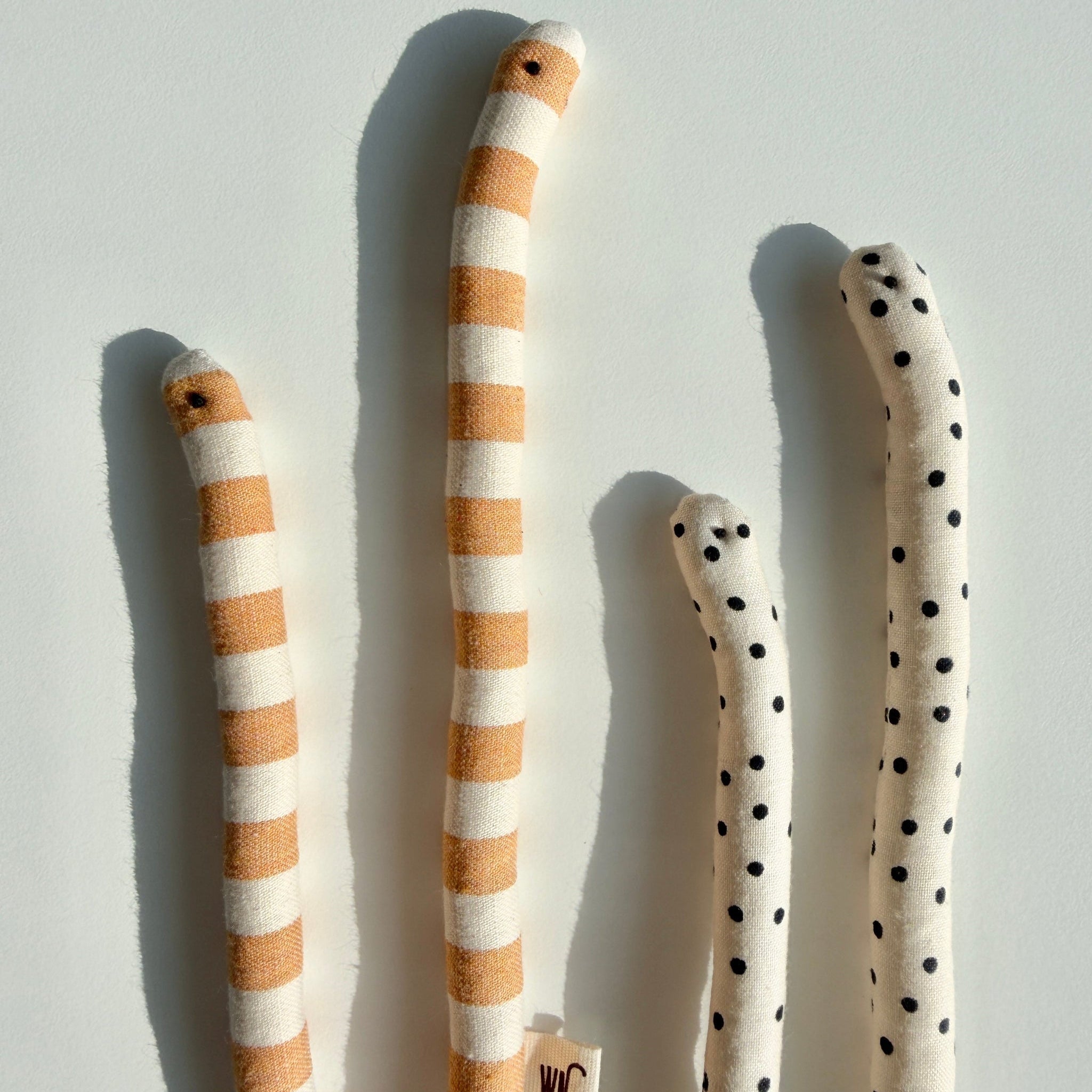 Garden Eel