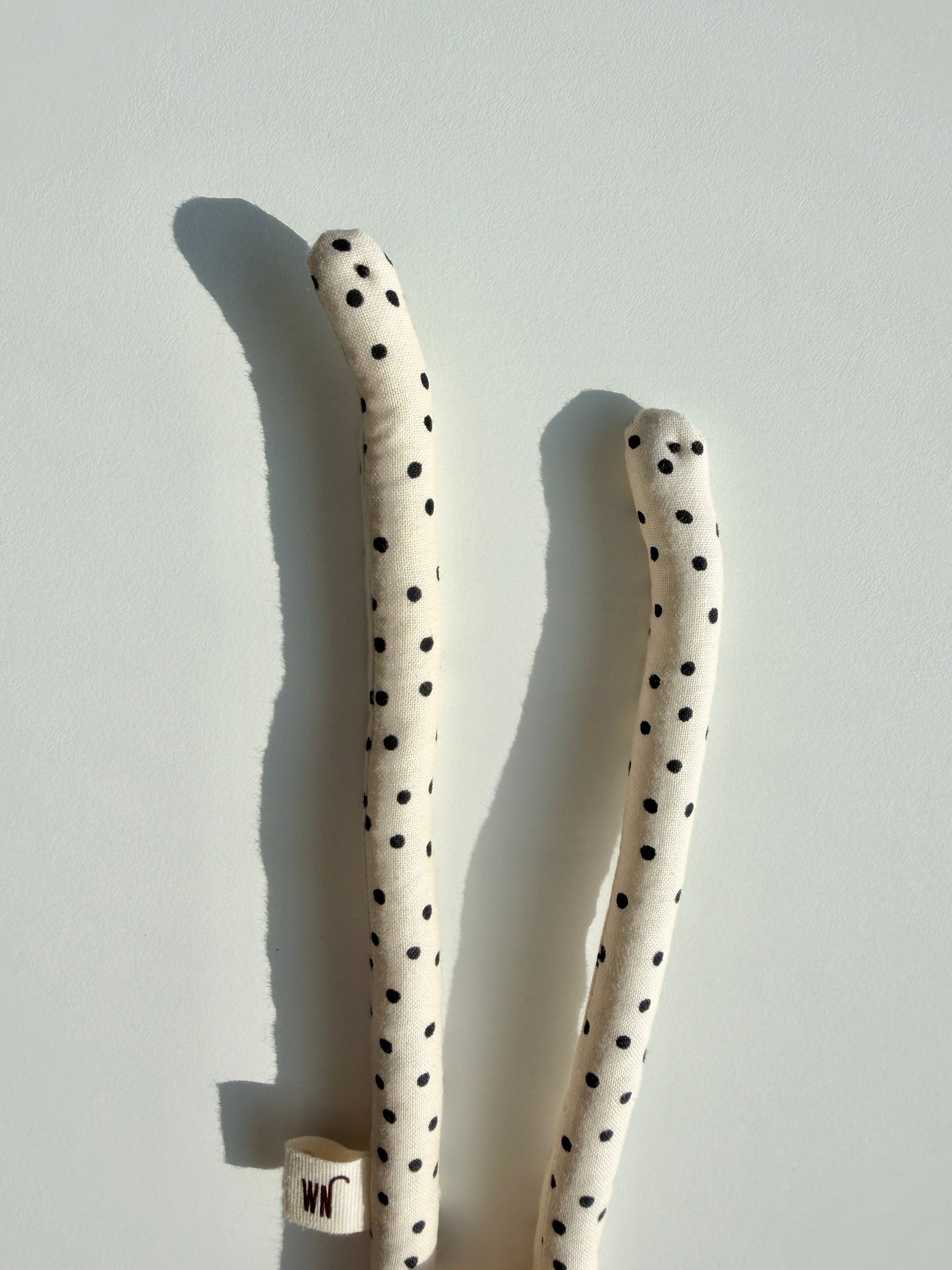 Garden Eel