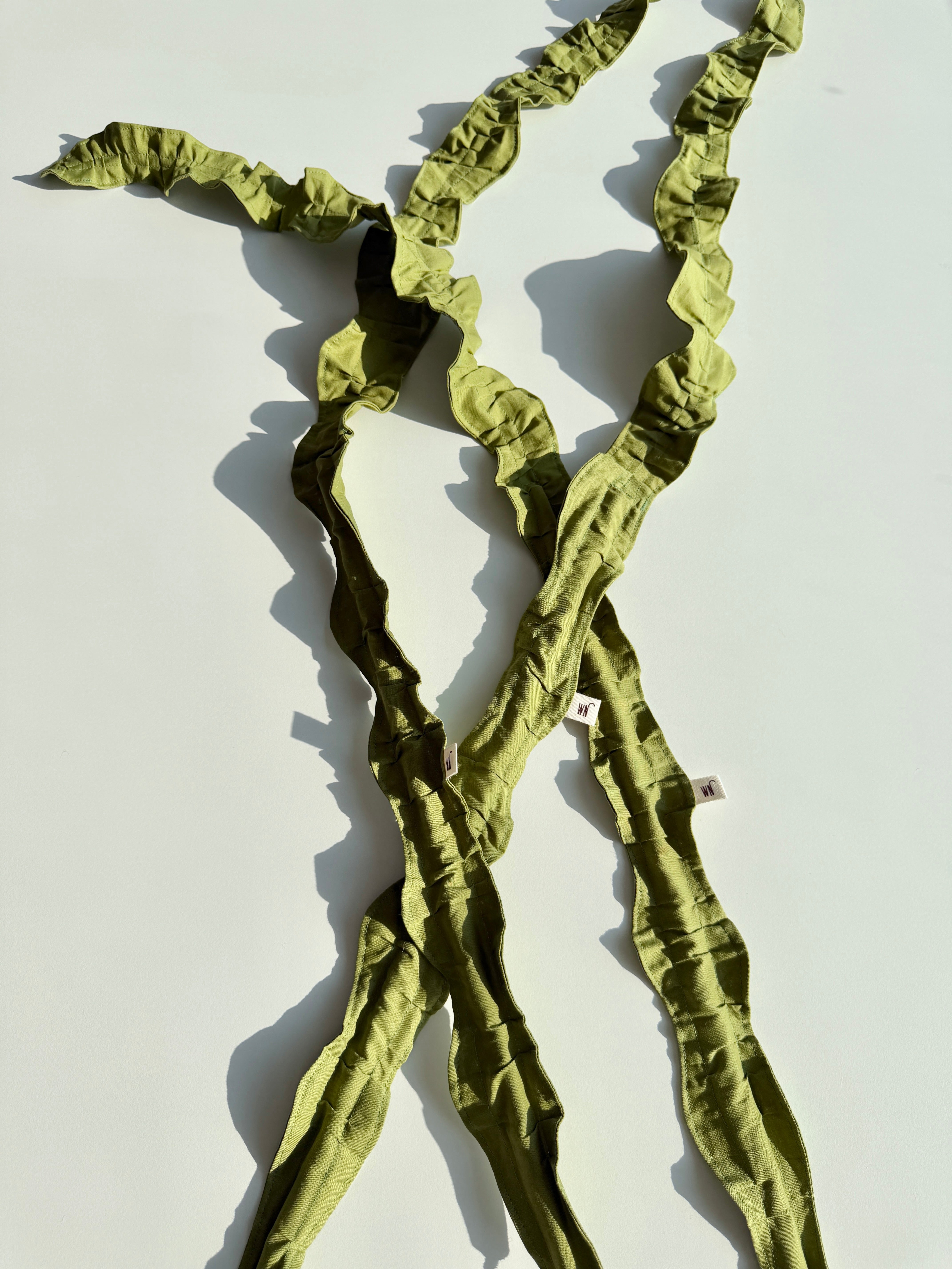 Seaweed