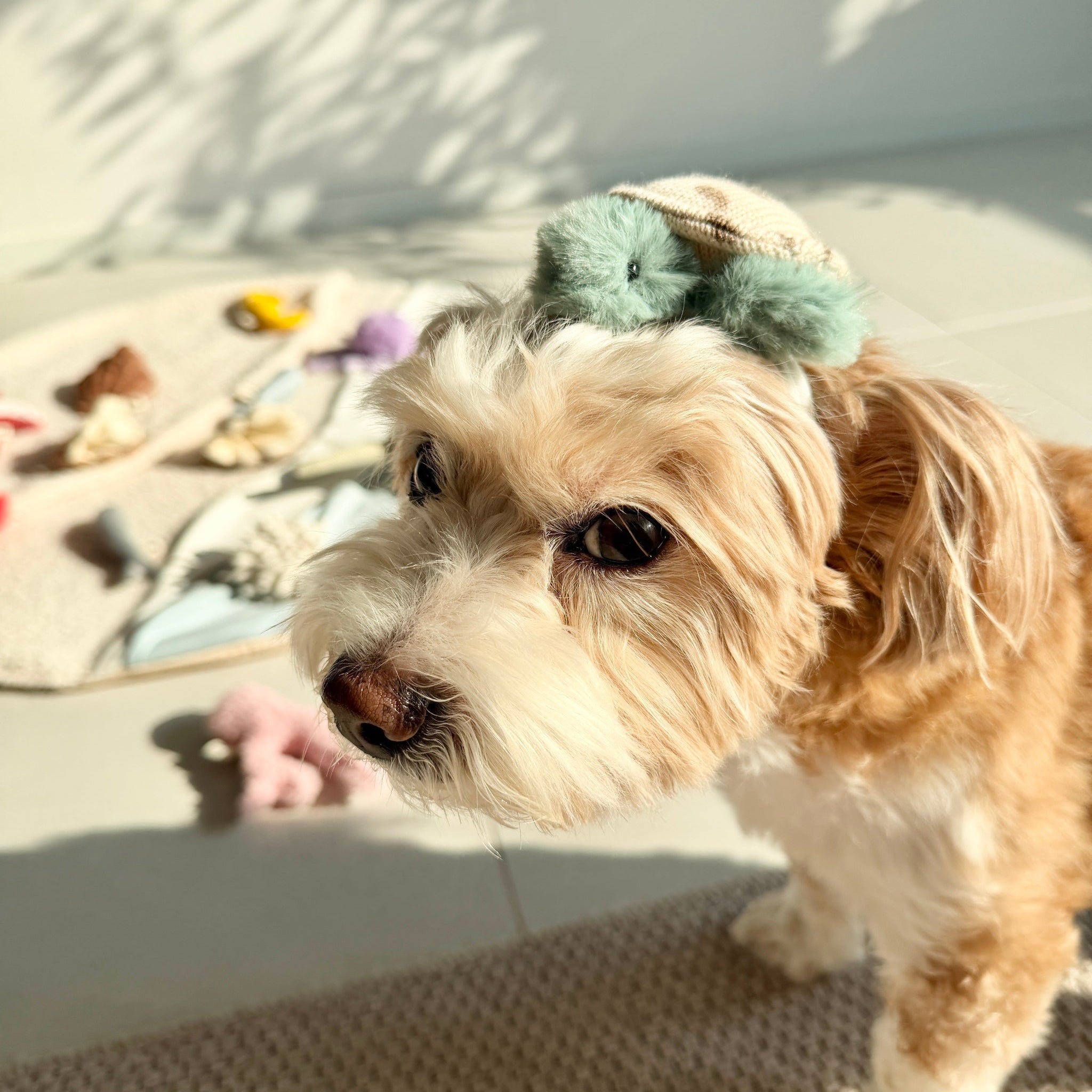 Turtle Headpiece
