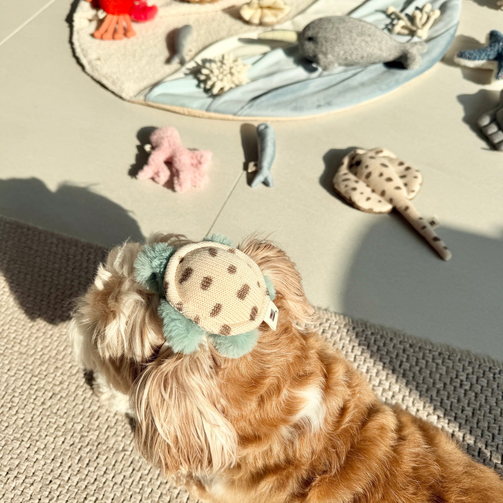 Turtle Headpiece