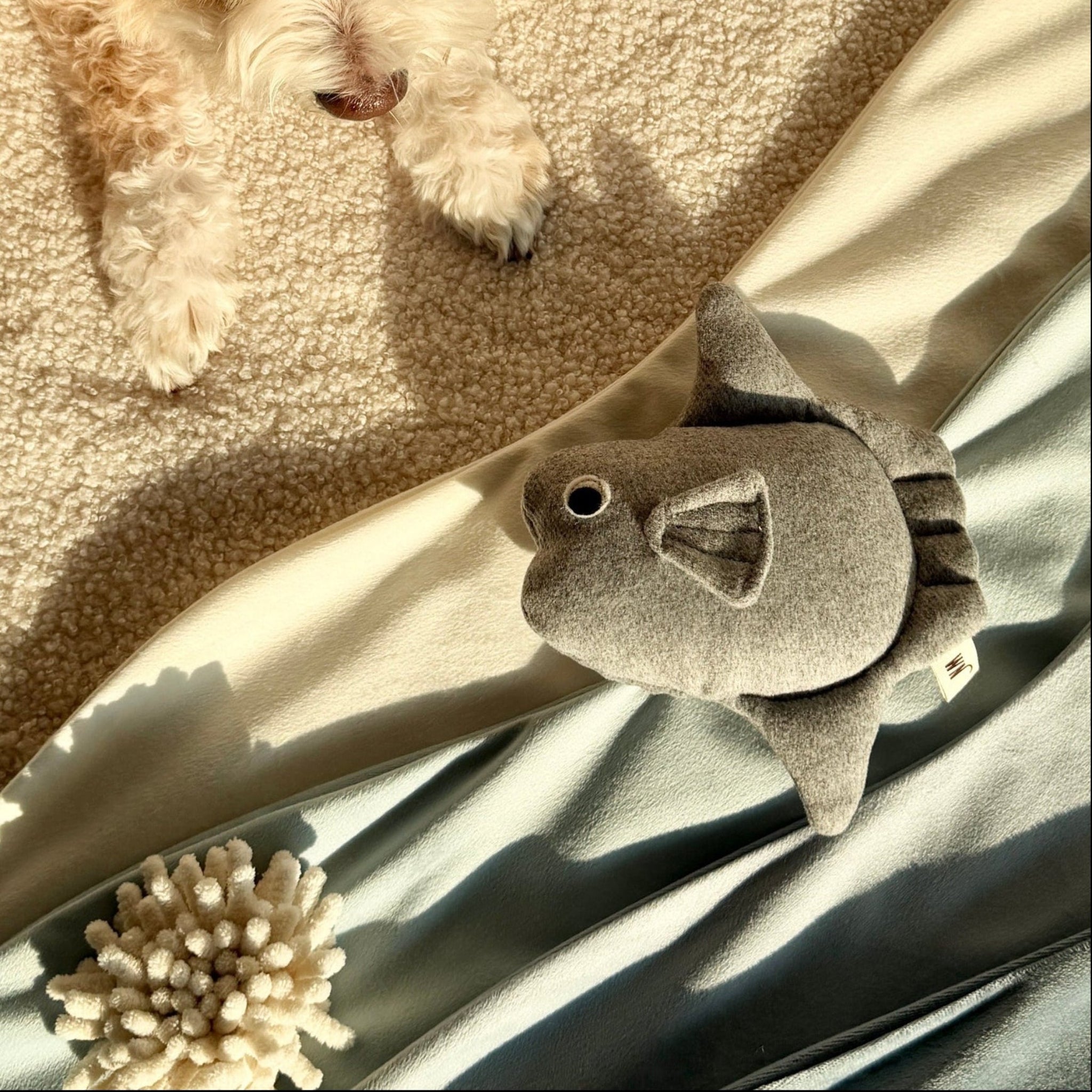 Sunfish