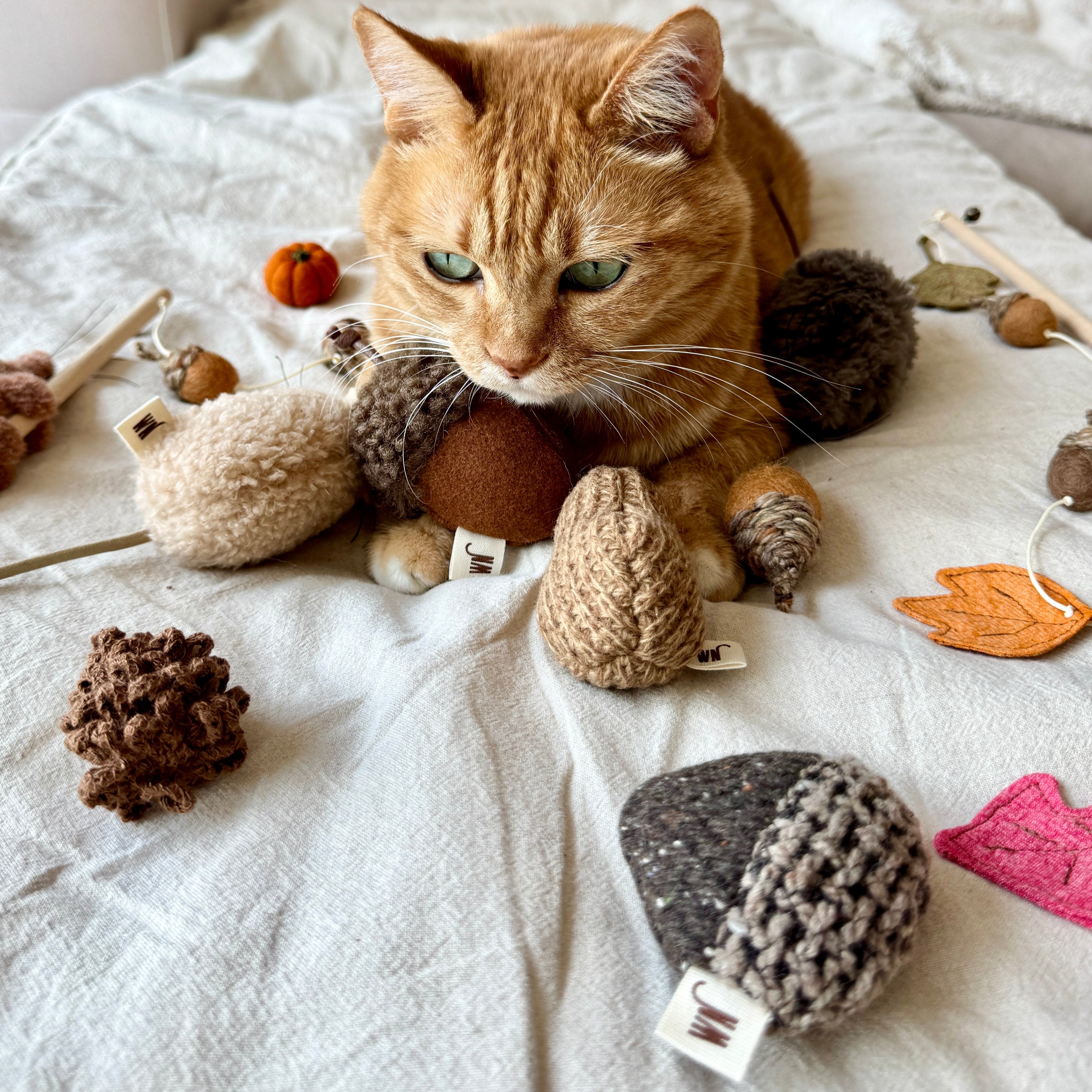 Nuts (Set of 3)