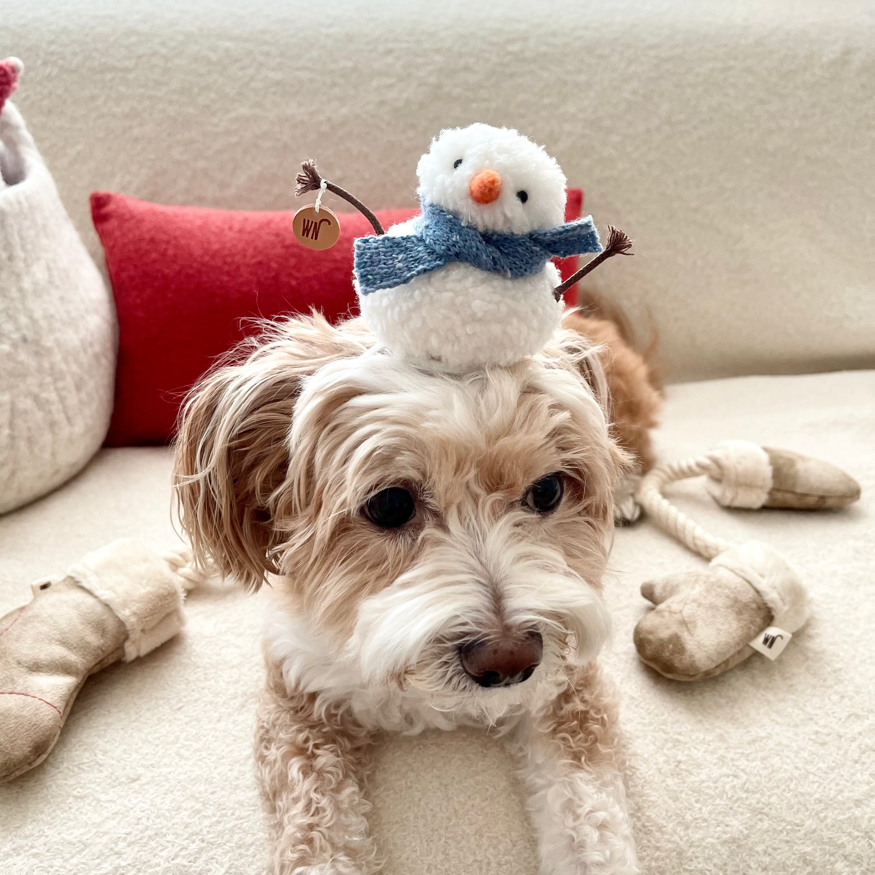 Melting Snowman Hat 1 (pre-order)