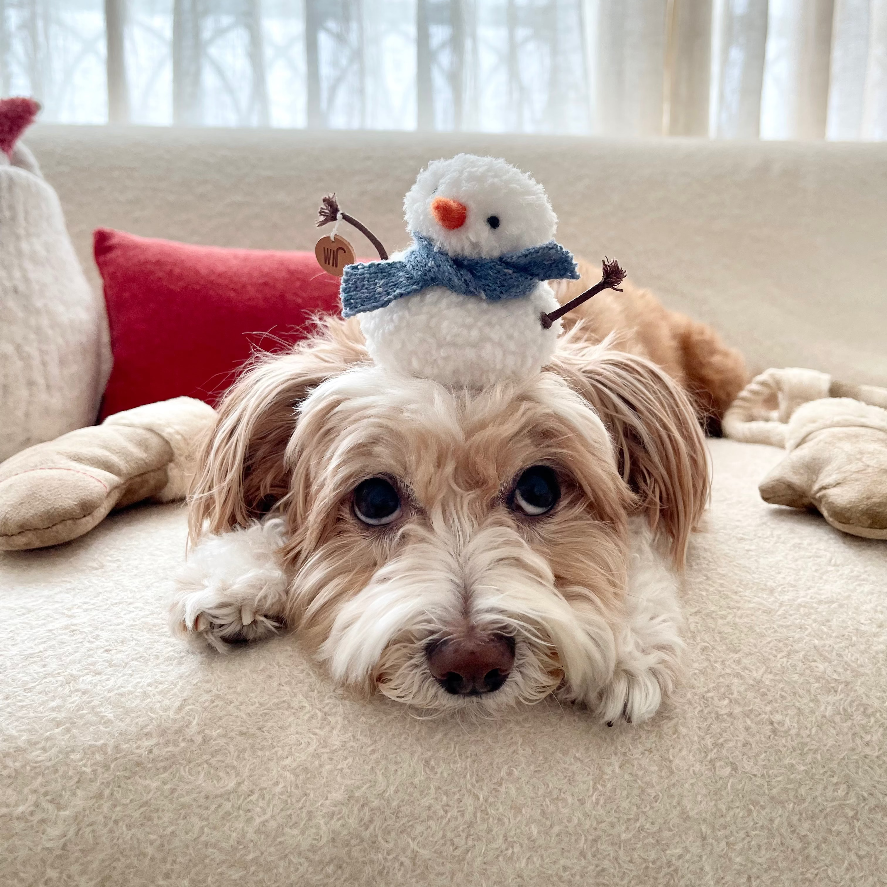 Melting Snowman Hat 1 (pre-order)