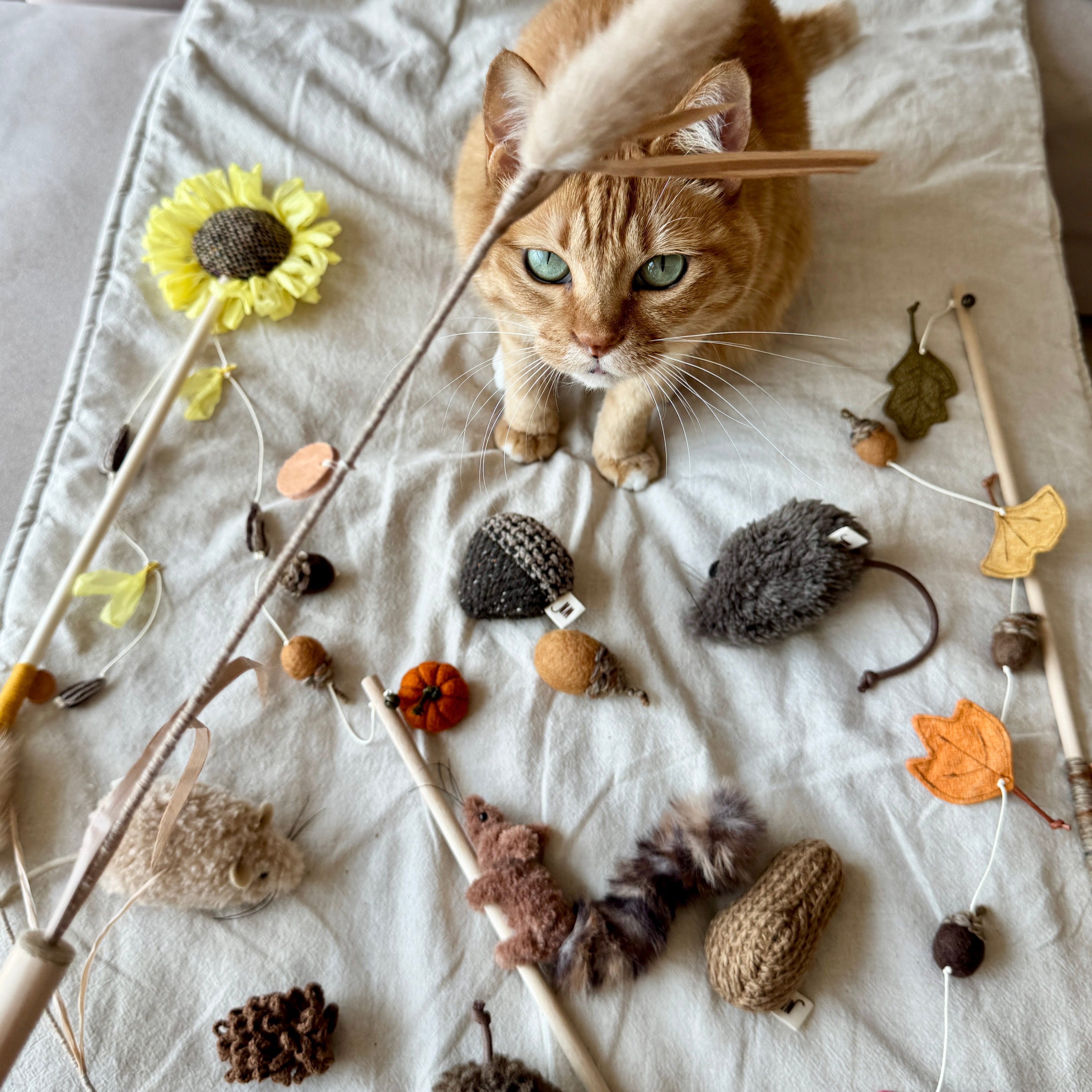 Pine Cone (Set of 3)