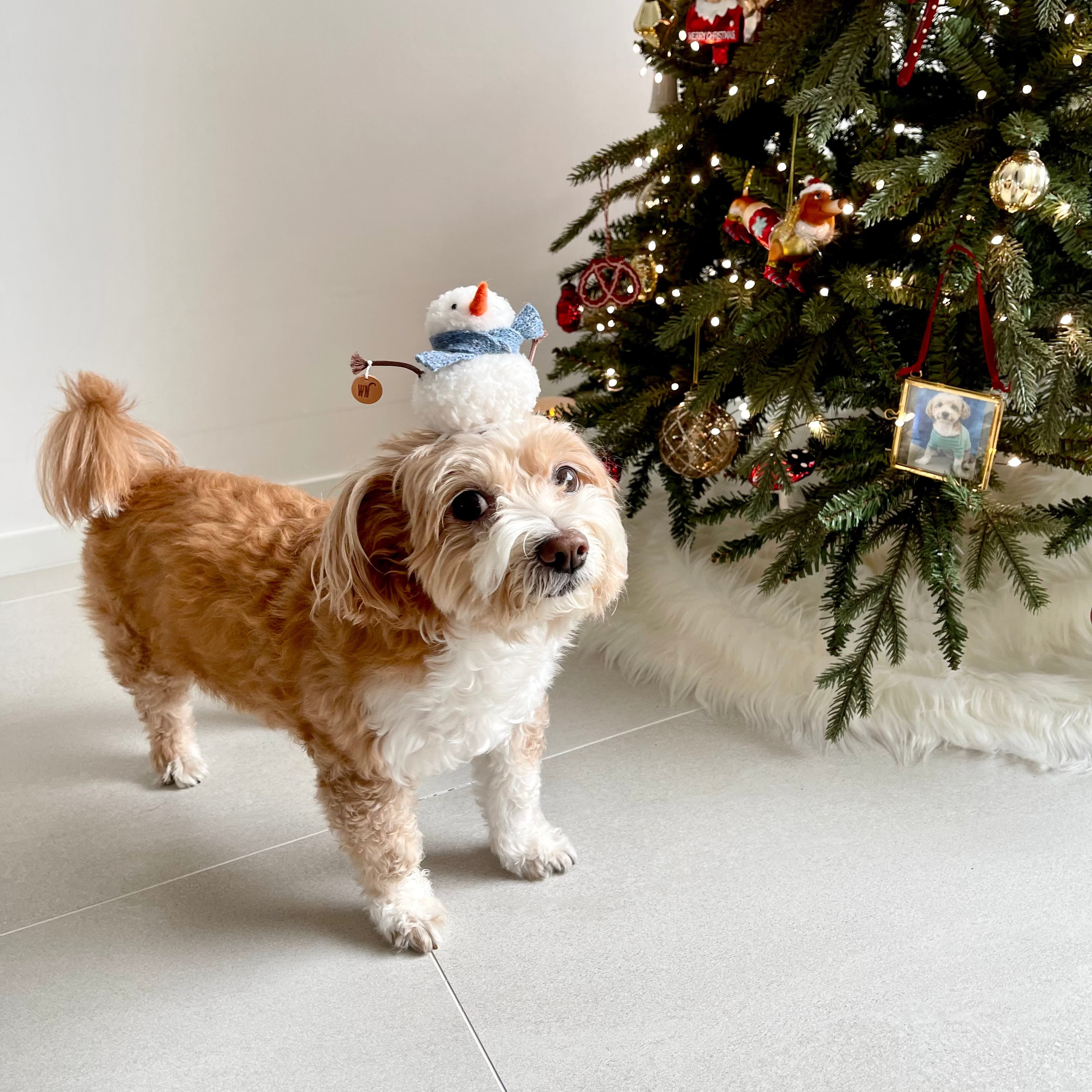 Melting Snowman Hat 1 (pre-order)