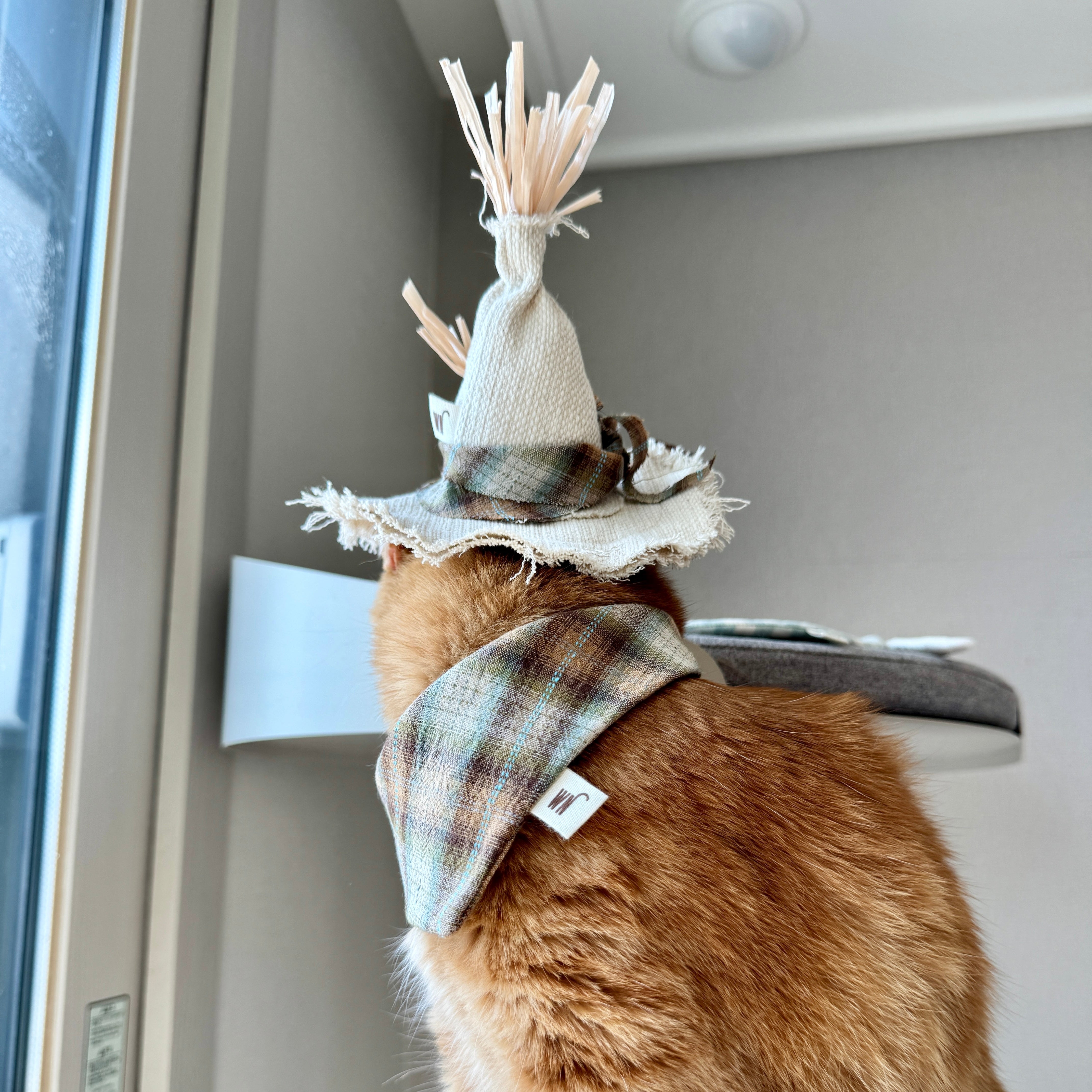 Scarecrow Hat