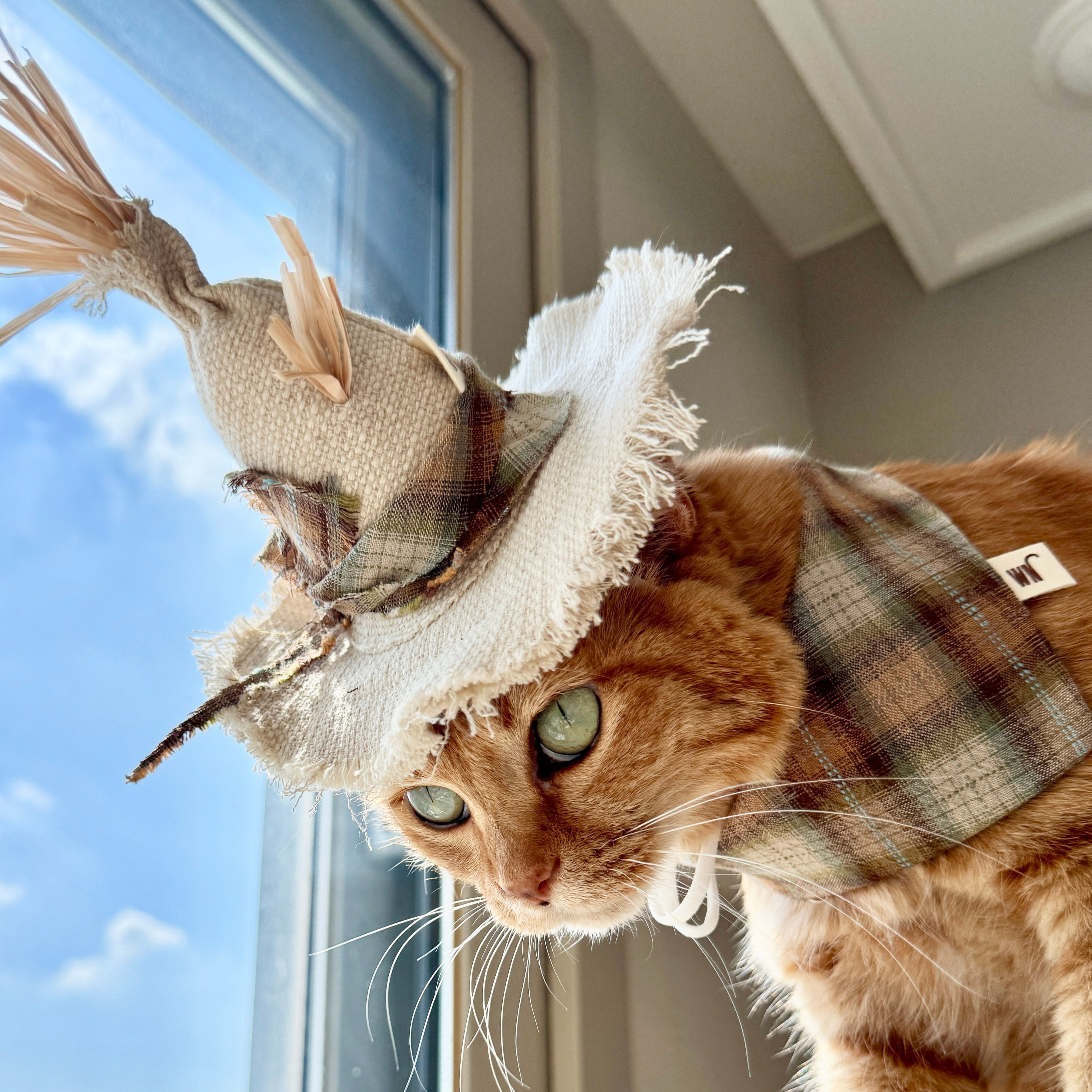 Scarecrow Hat