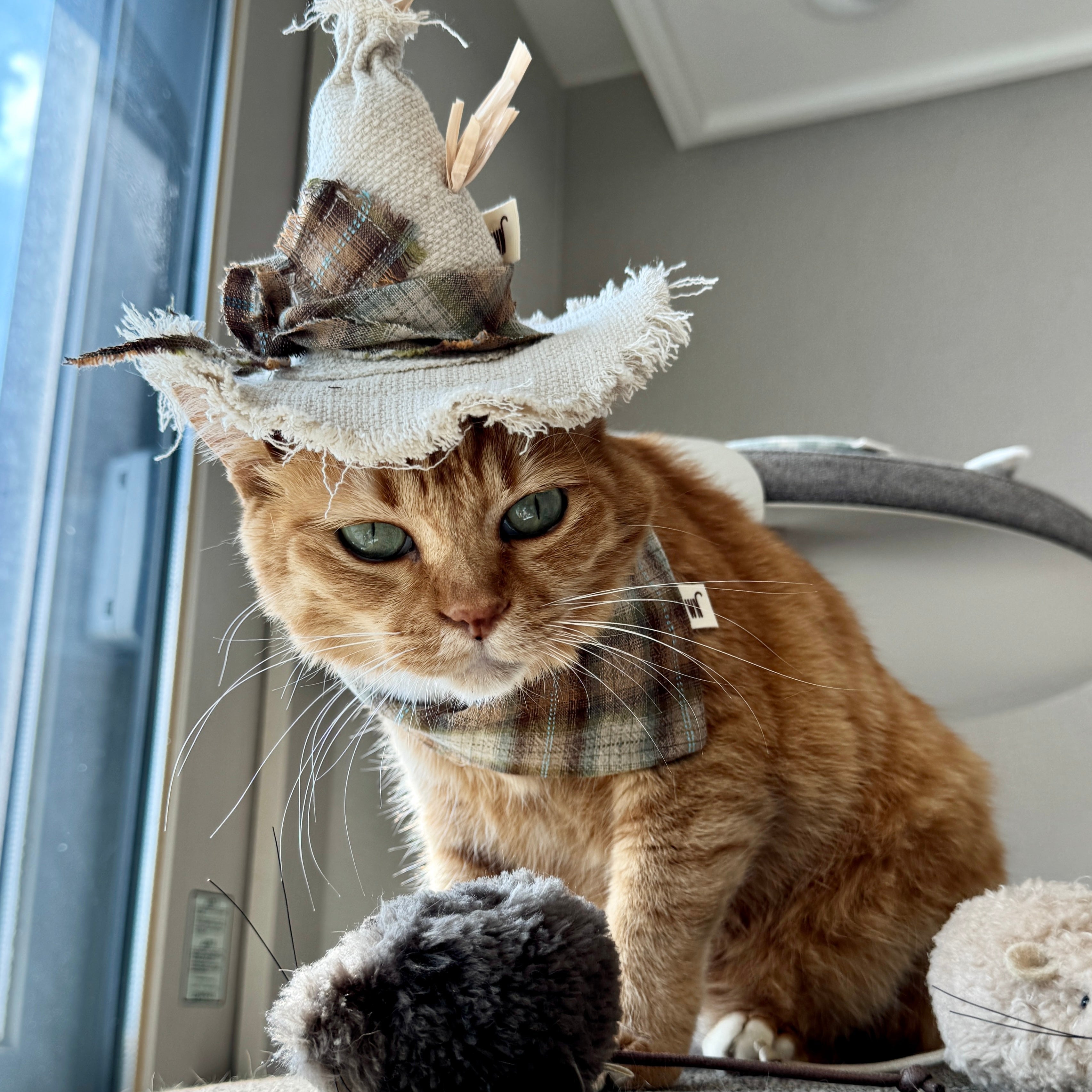 Scarecrow Scarf