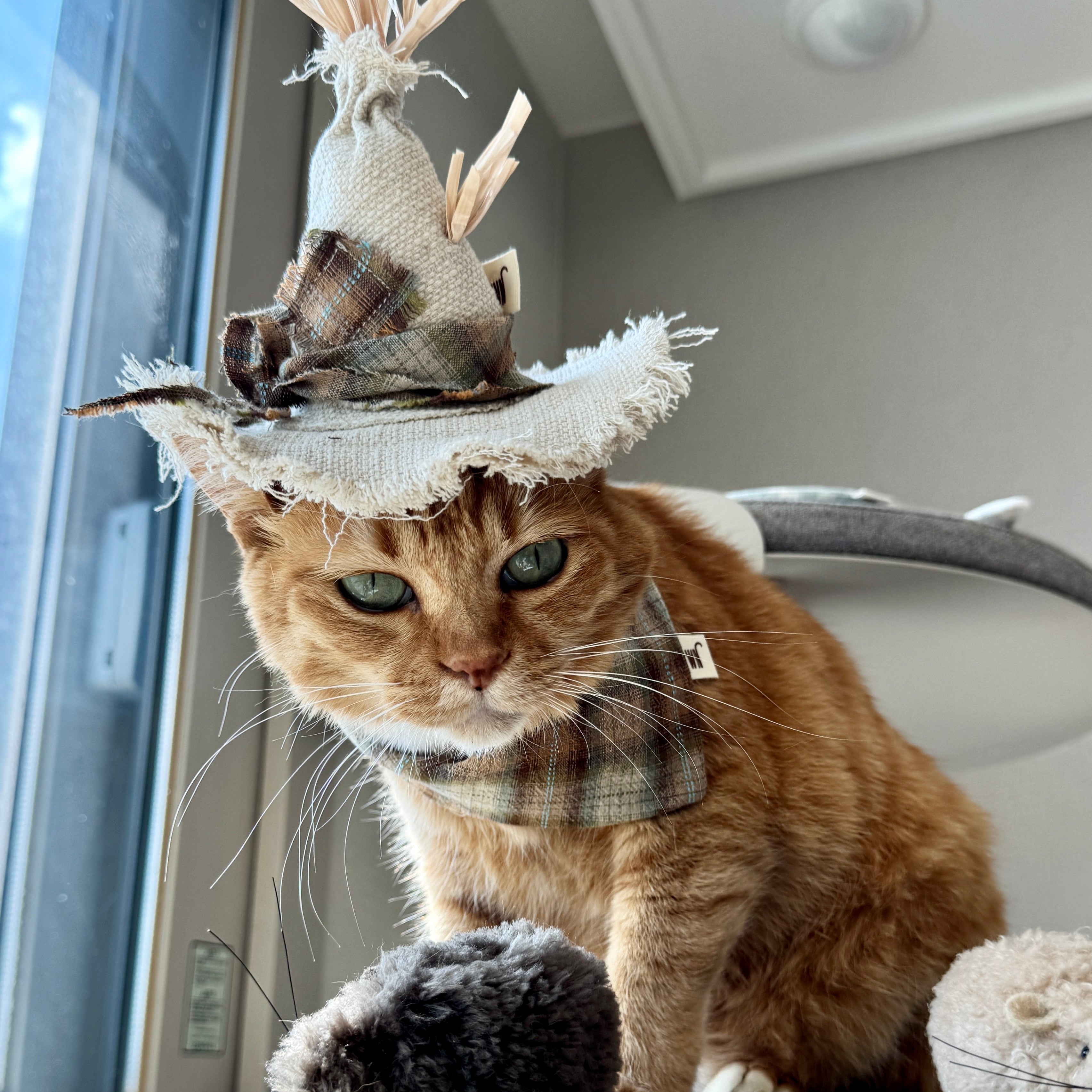 Scarecrow Hat