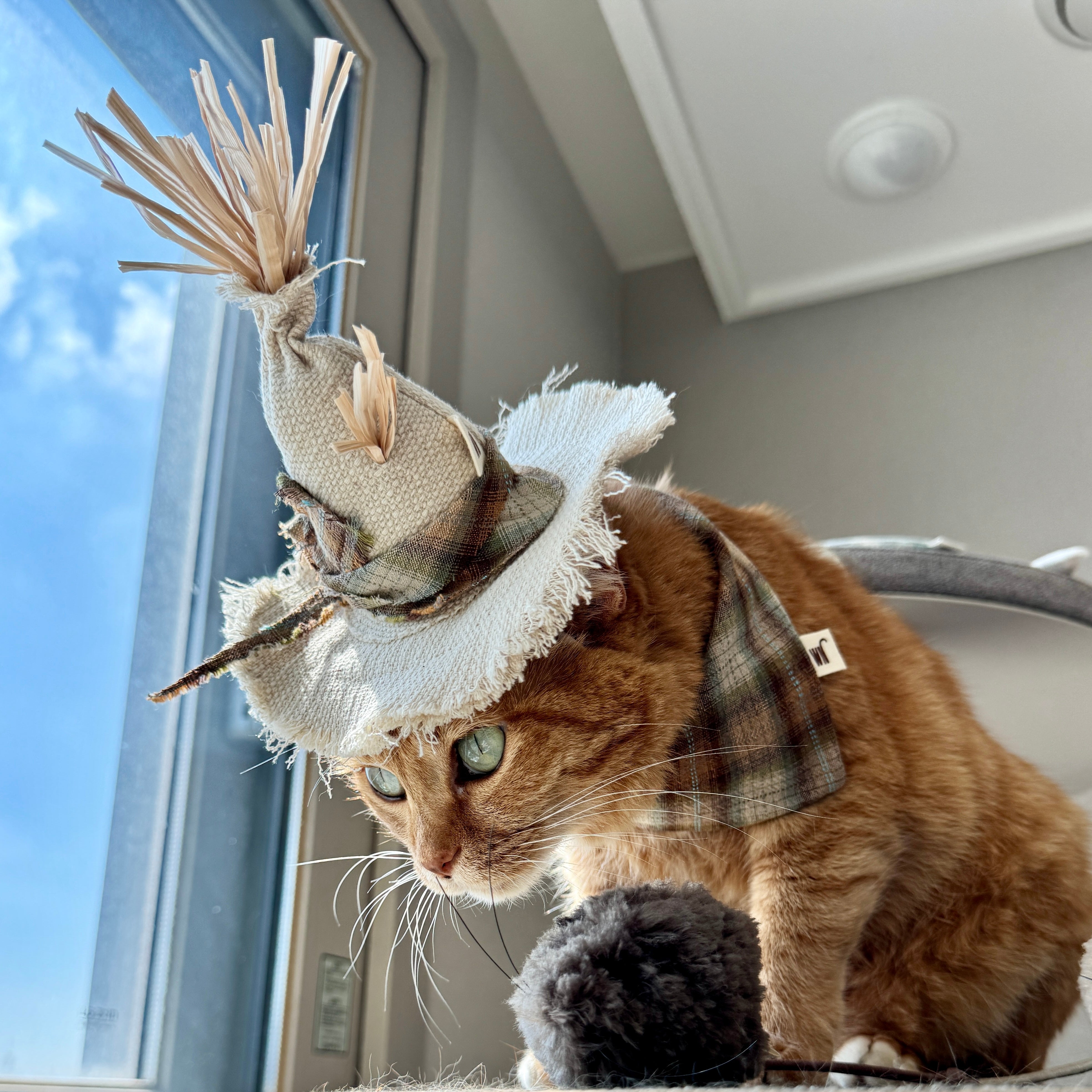 Scarecrow Hat
