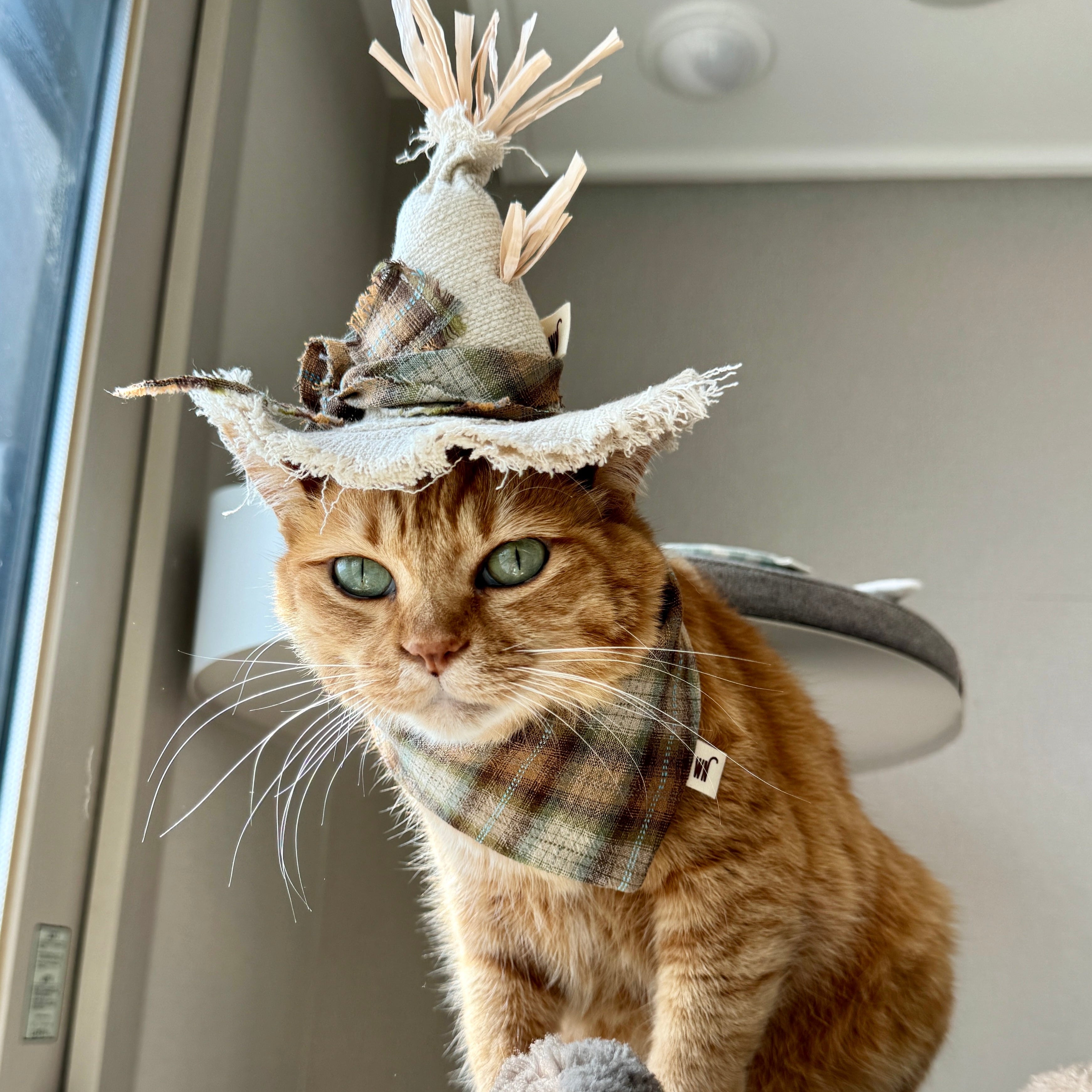 Scarecrow Hat