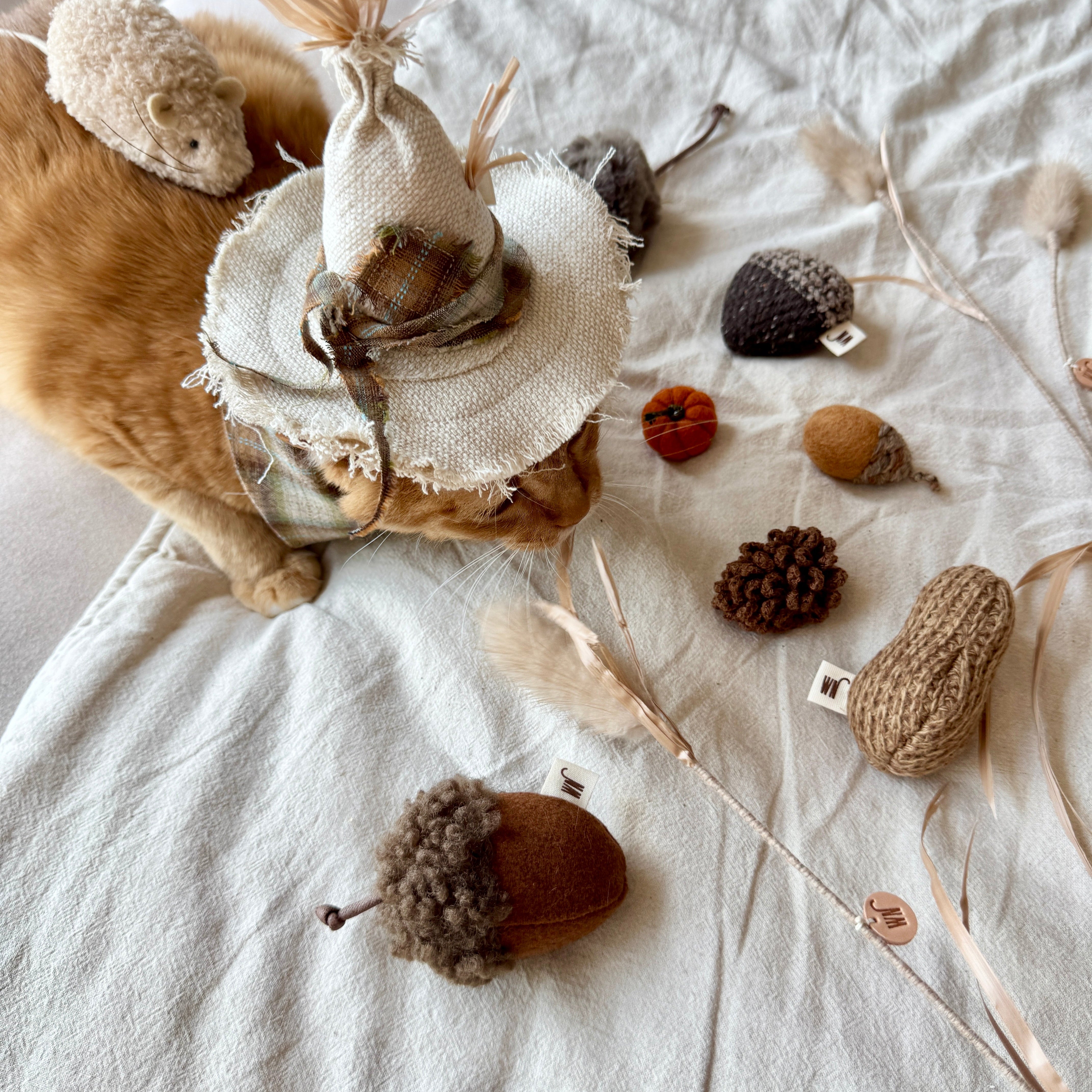 Nuts (Set of 3)