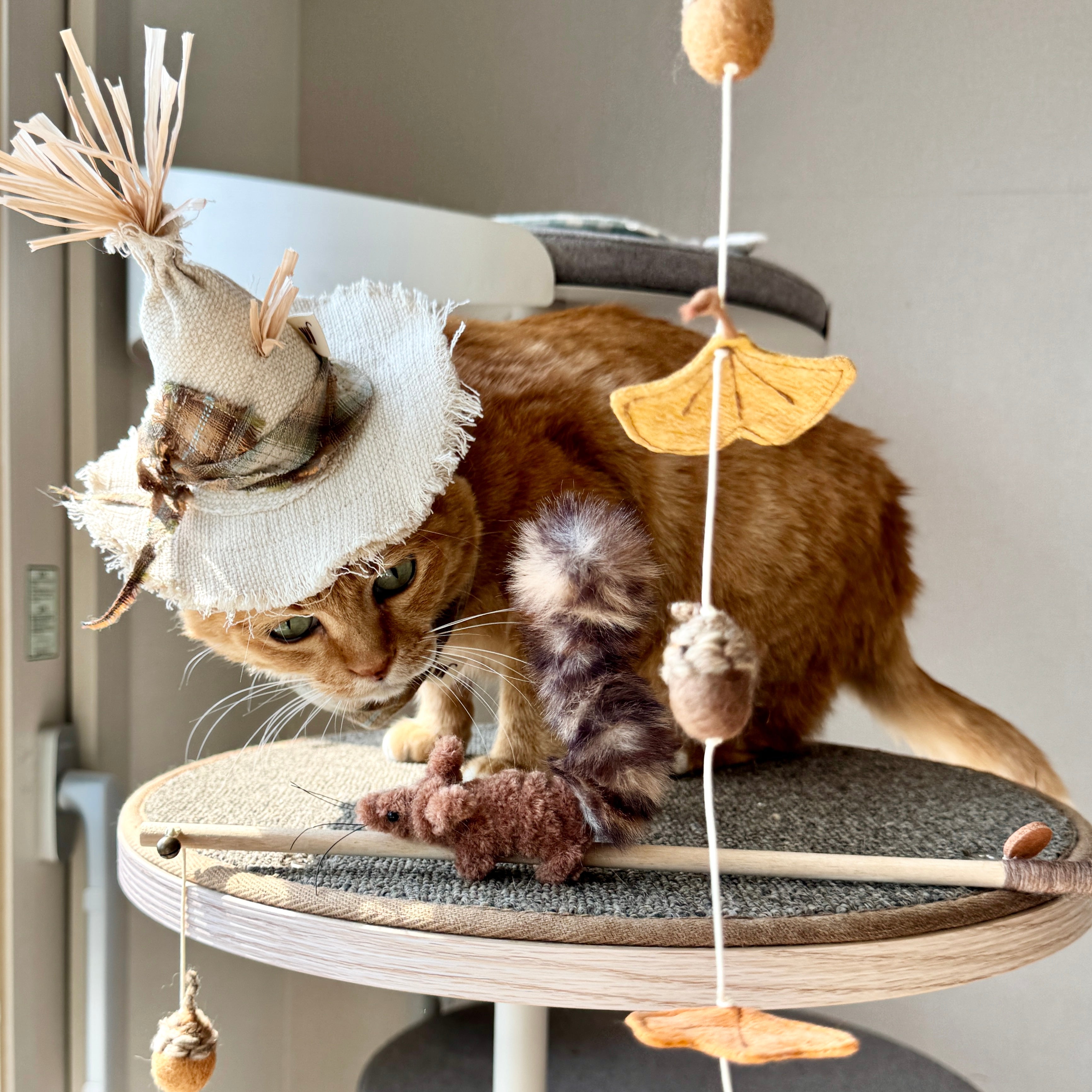 Scarecrow Hat
